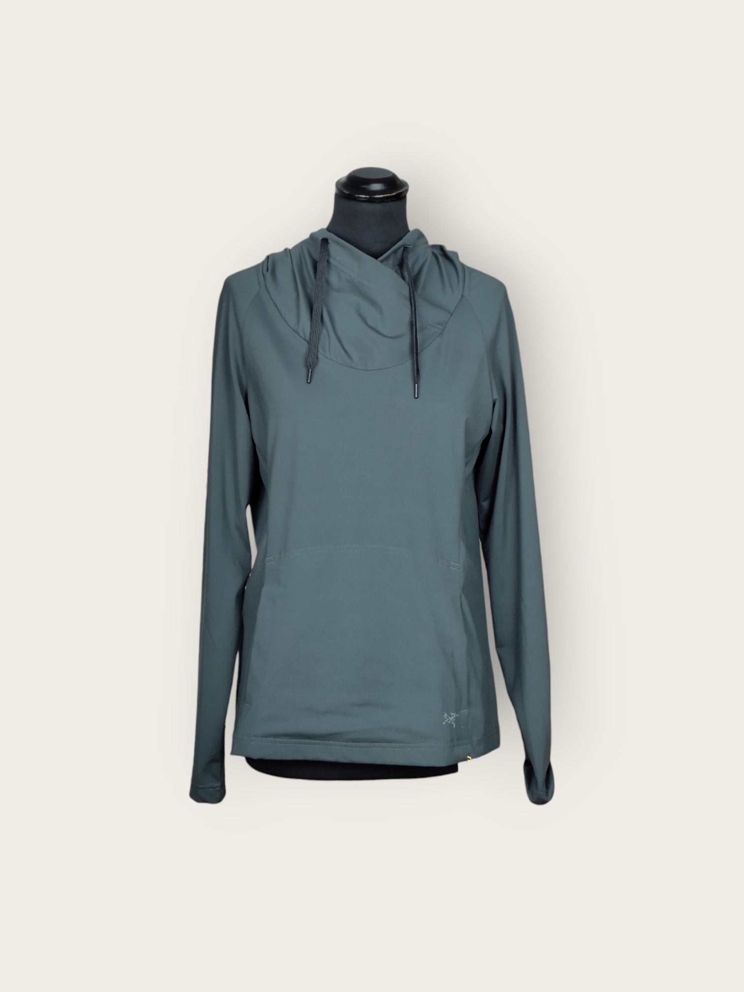 Arcteryx Pullover (L)