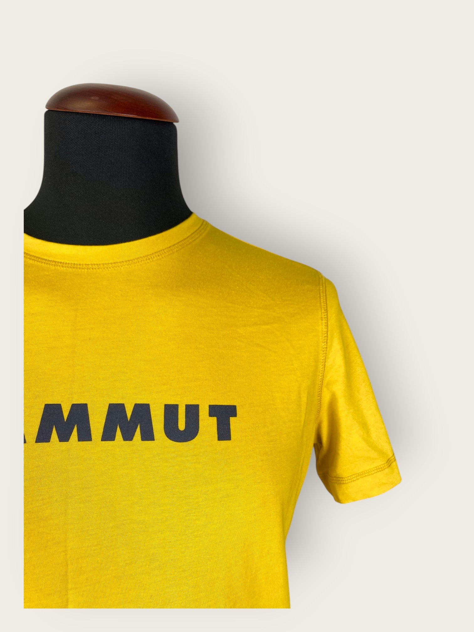 Mammut Core T-Shirt (M)
