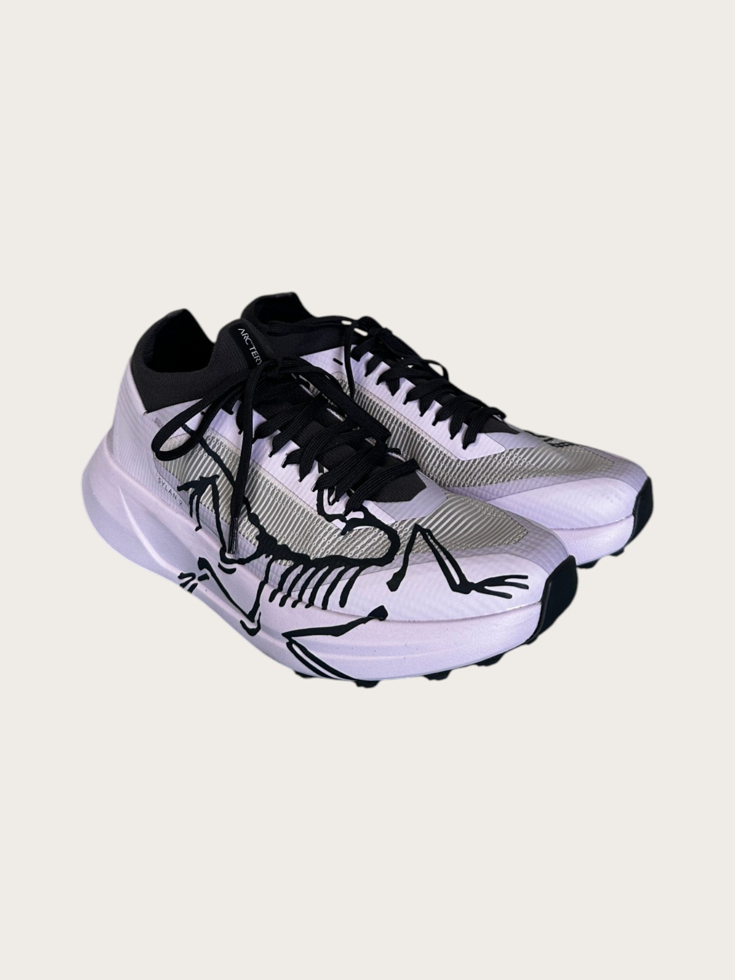 Arc'teryx Sylan 2 Trailrunningschuhe (40)