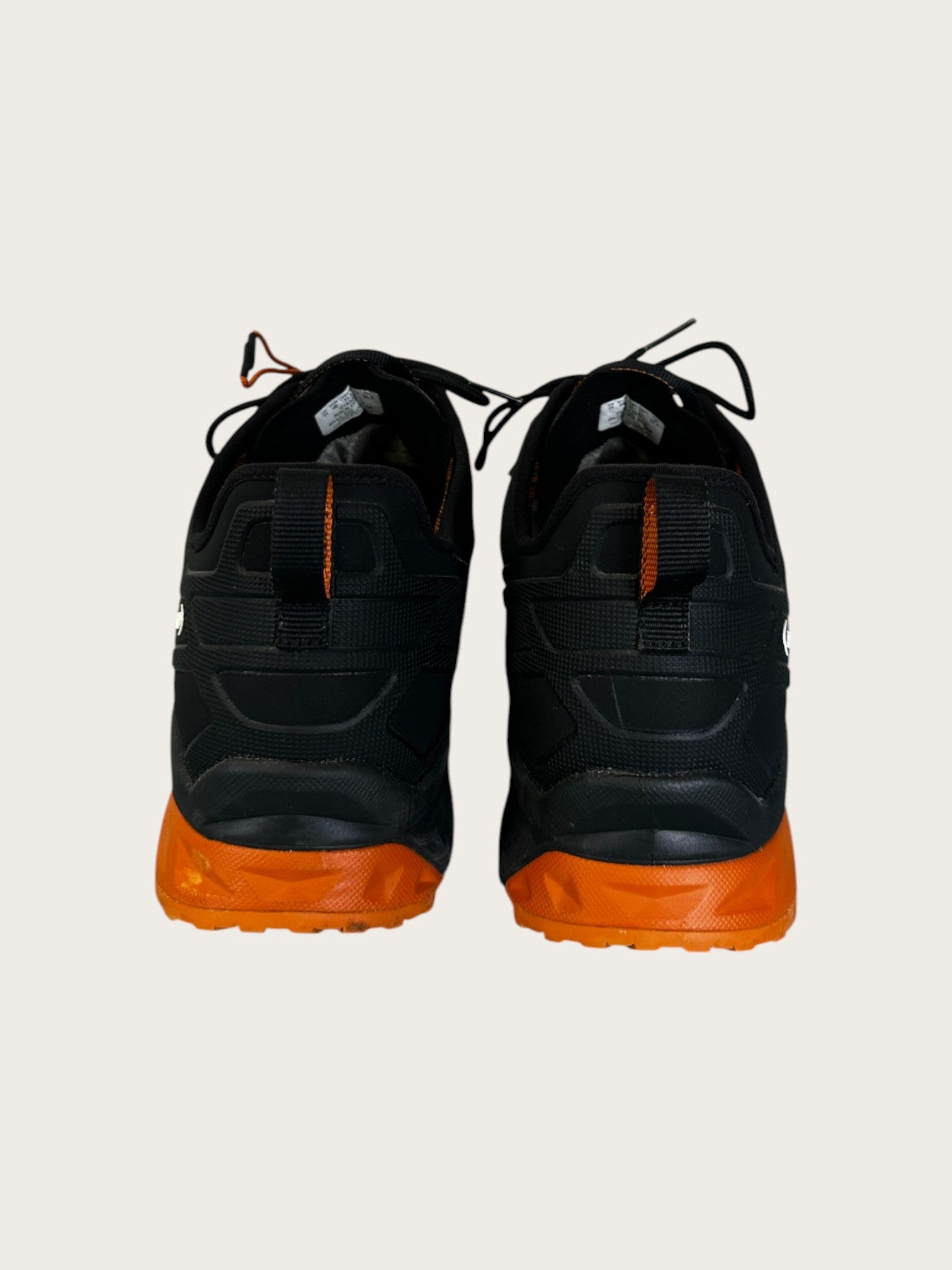 Aku Rock DFS GTX Zustiegsschuhe (46)