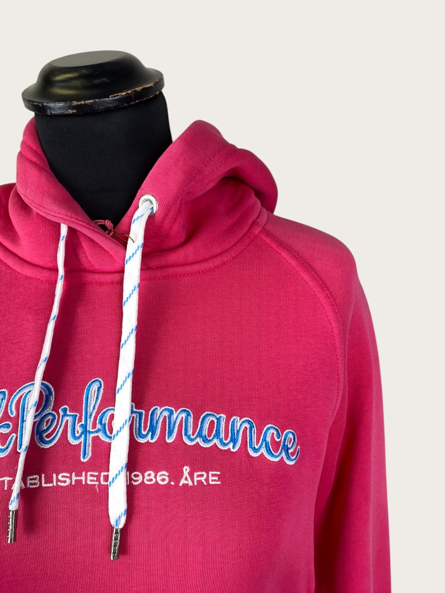 Peak Performance Hoodie (S)