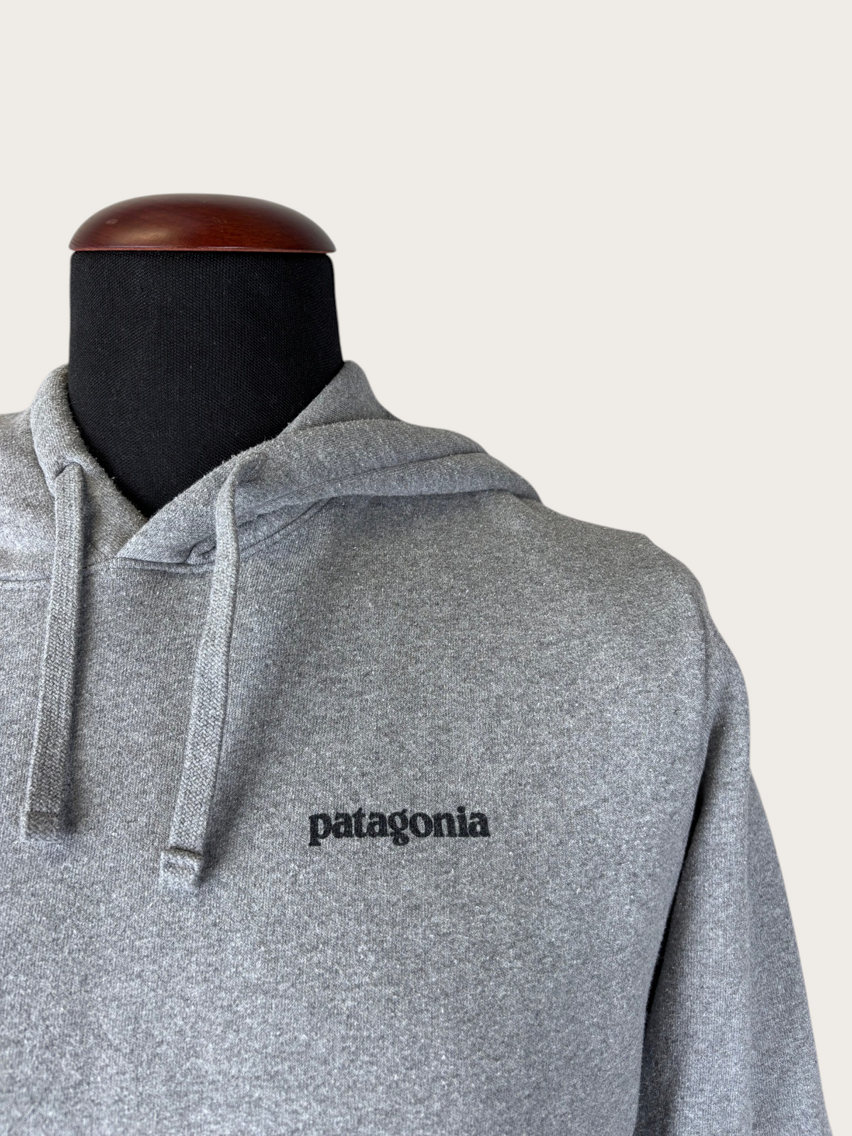 Patagonia Fitz Roy Icon Hoodie (M)