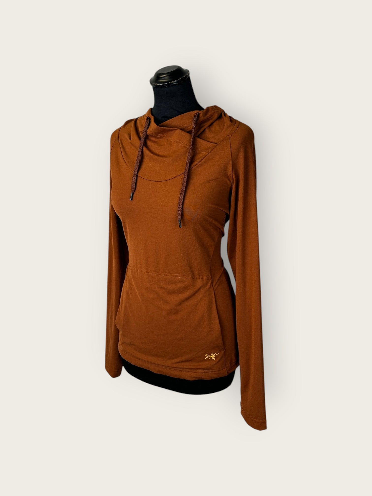Arc'teryx Hoodie (M)