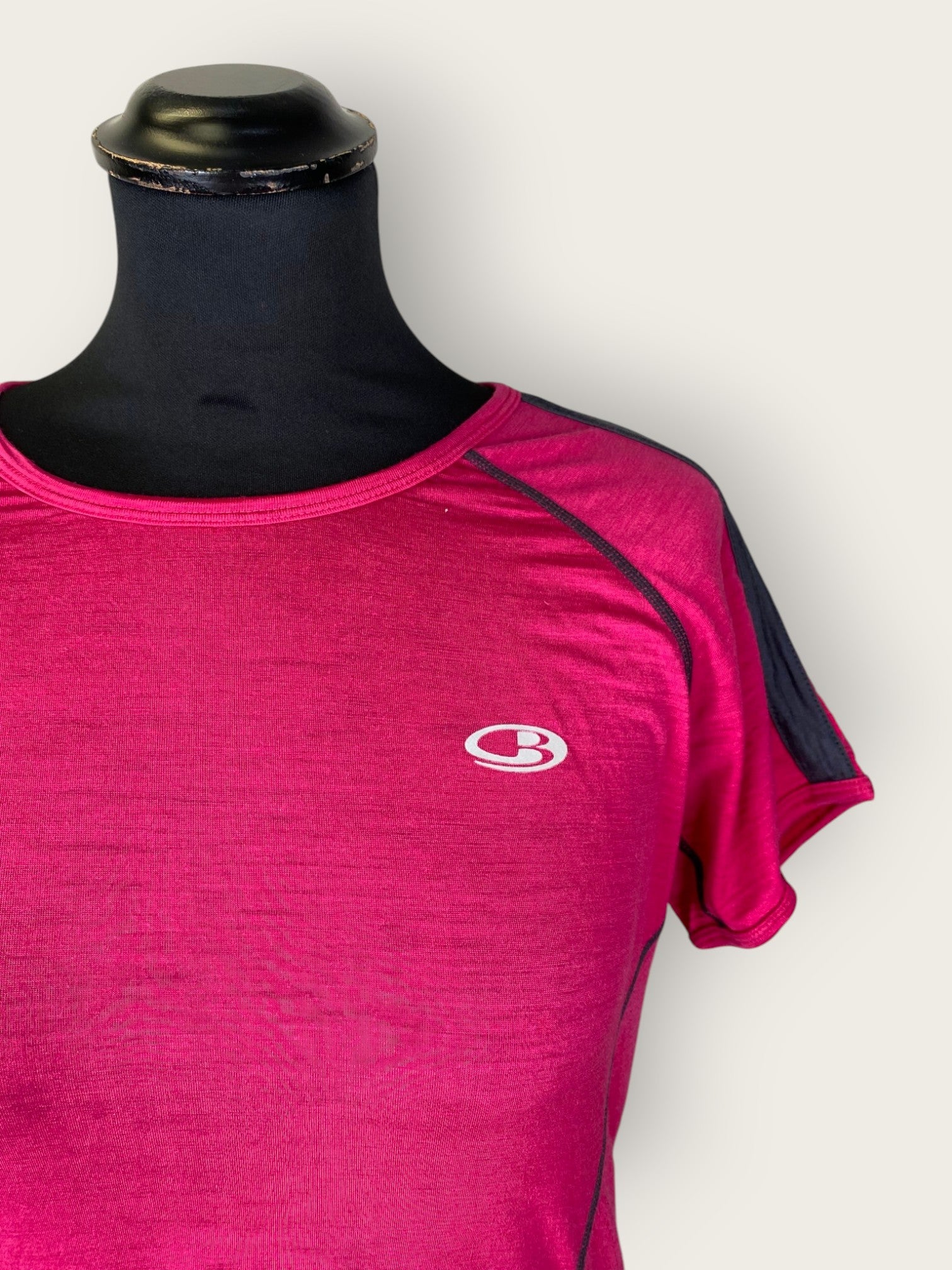 Icebreaker Merino T-Shirt (M)