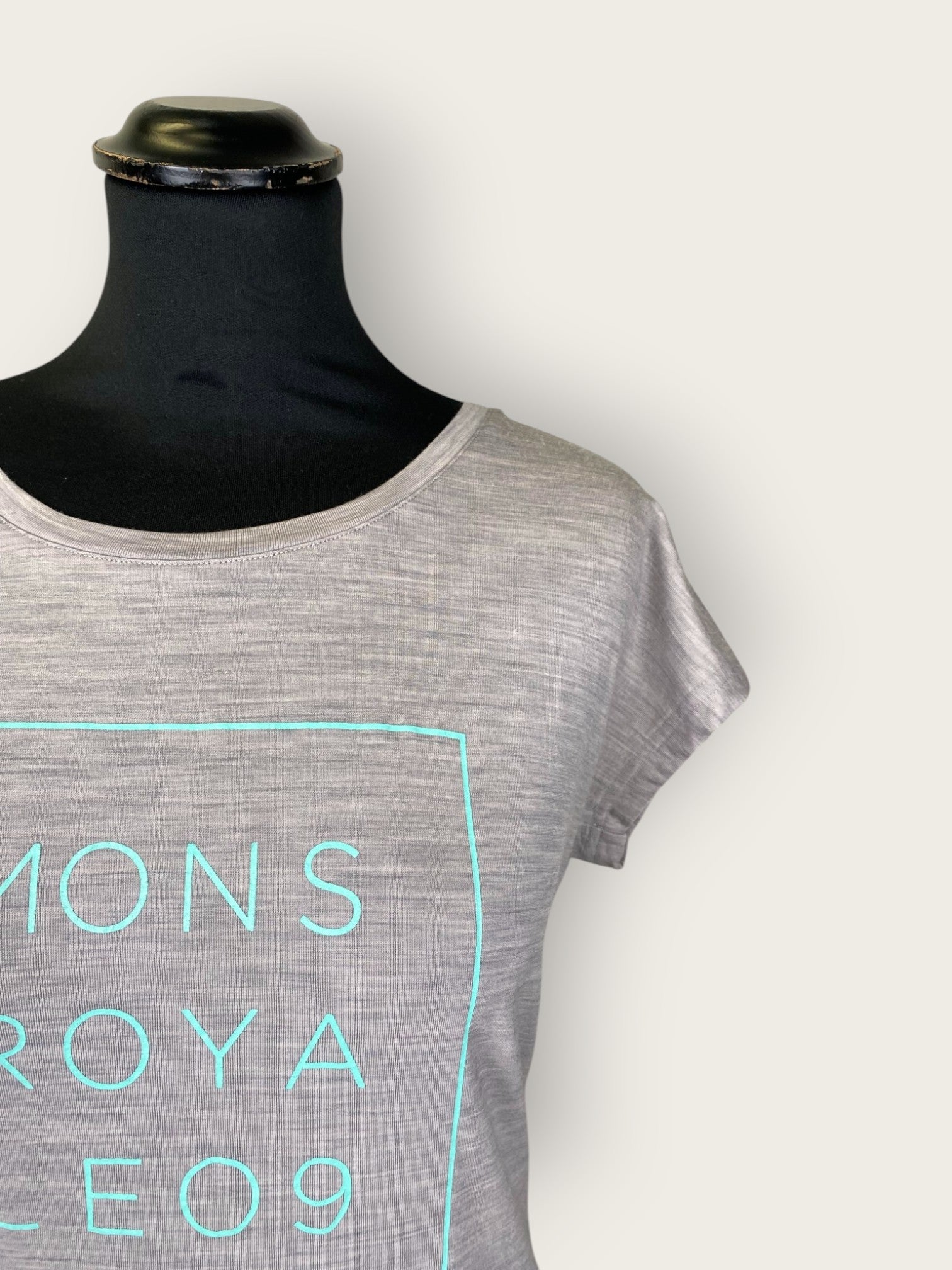 Mons Royle Merino T-Shirt (M)