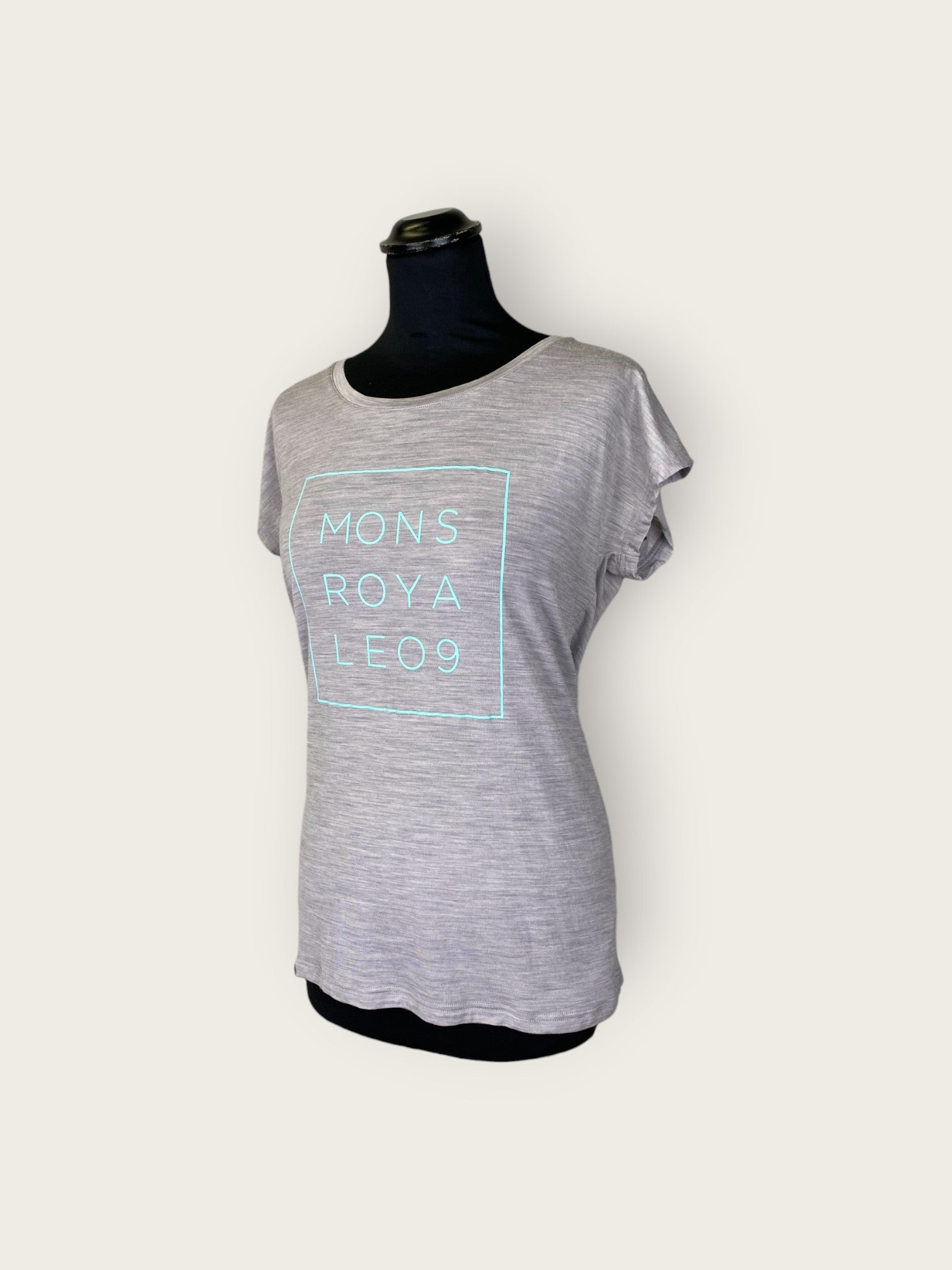 Mons Royle Merino T-Shirt (M)