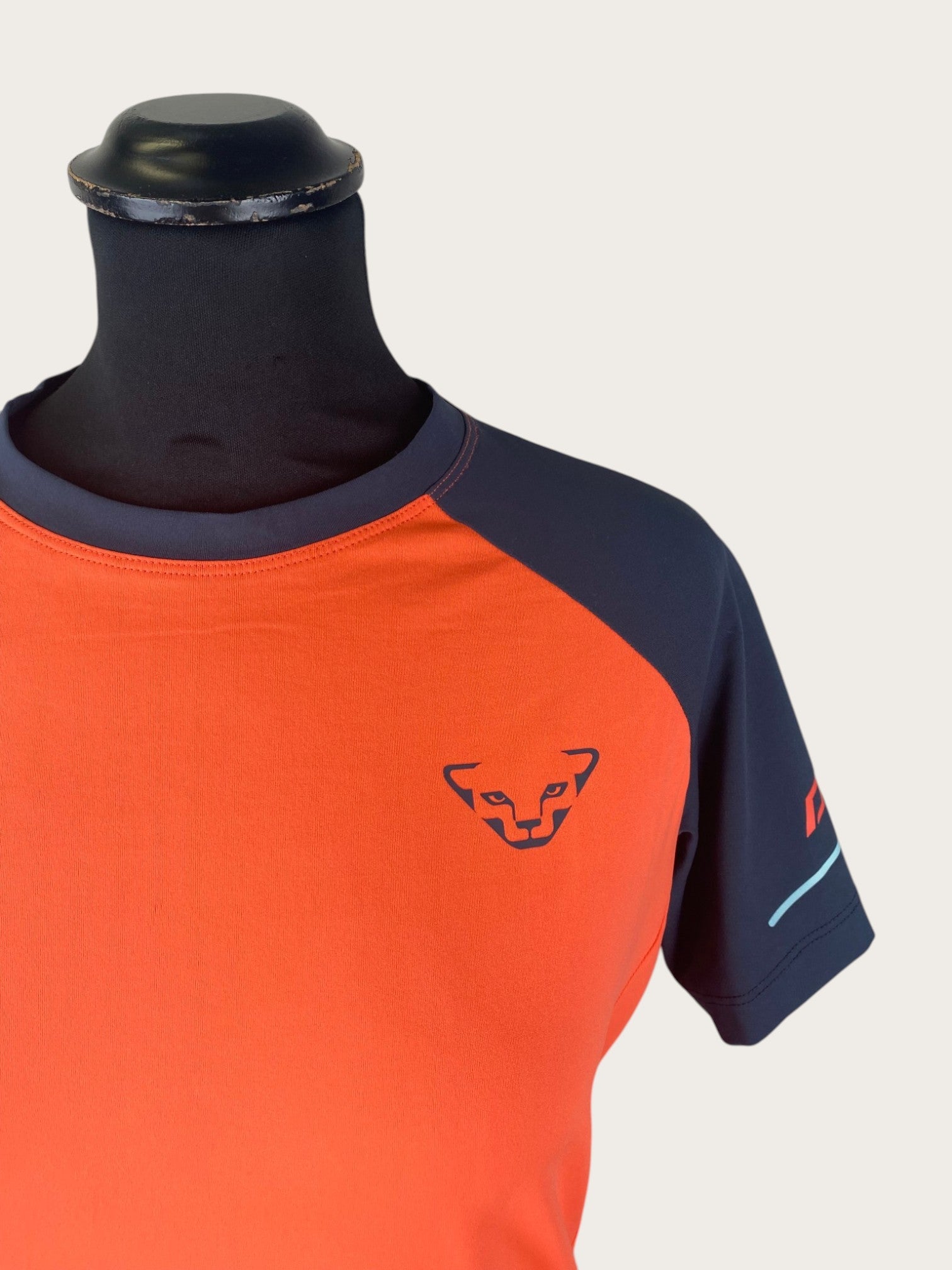 Dynafit Alpine Pro T-Shirt (M)