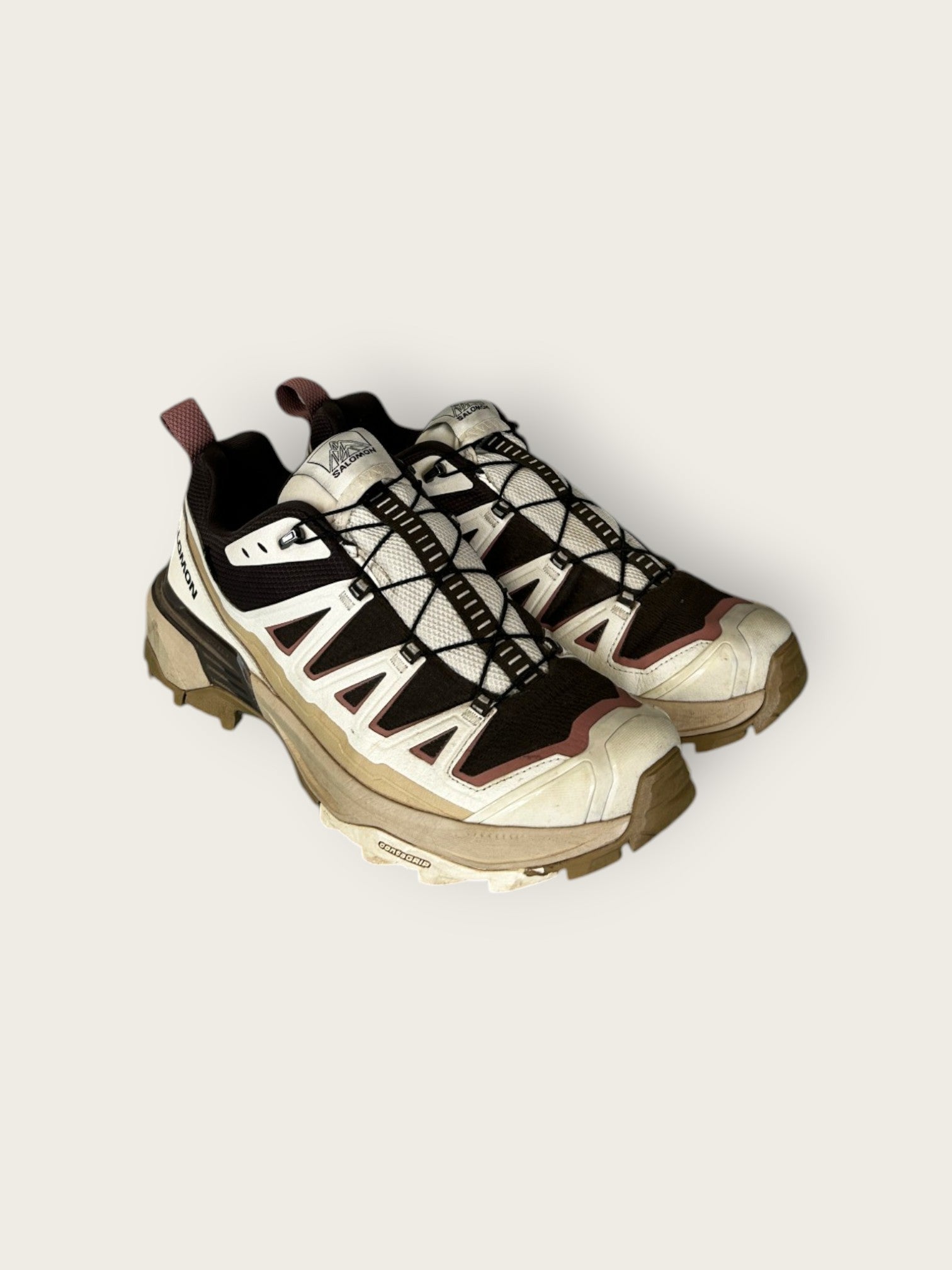 Salomon X-Ultra GTX Trailrunningschuhe (45.5)