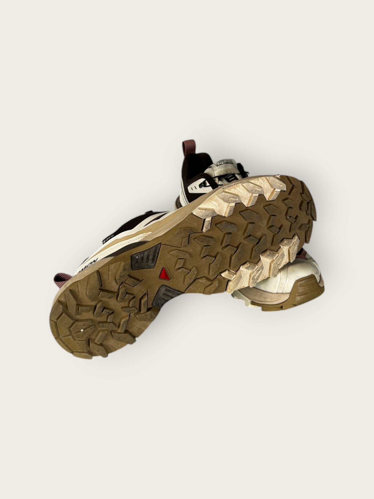Salomon X-Ultra GTX Trailrunningschuhe (45.5)