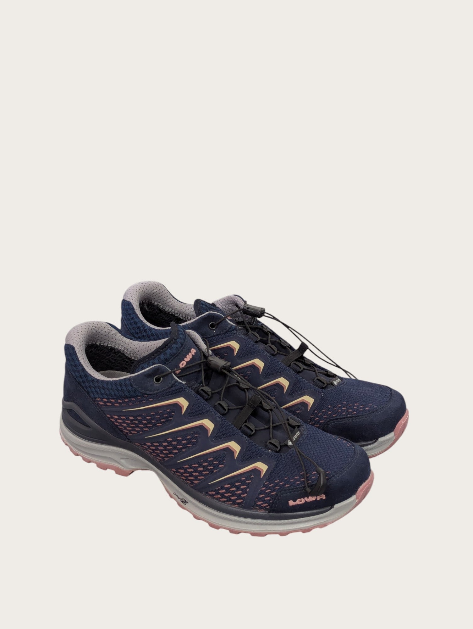 Lowa Wanderschuhe tief (42)