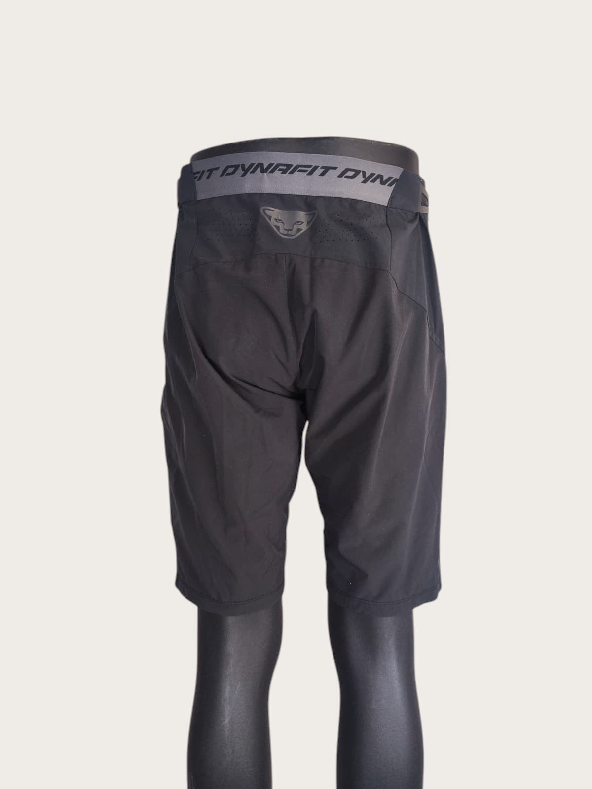 Dynafit Shorts (L)