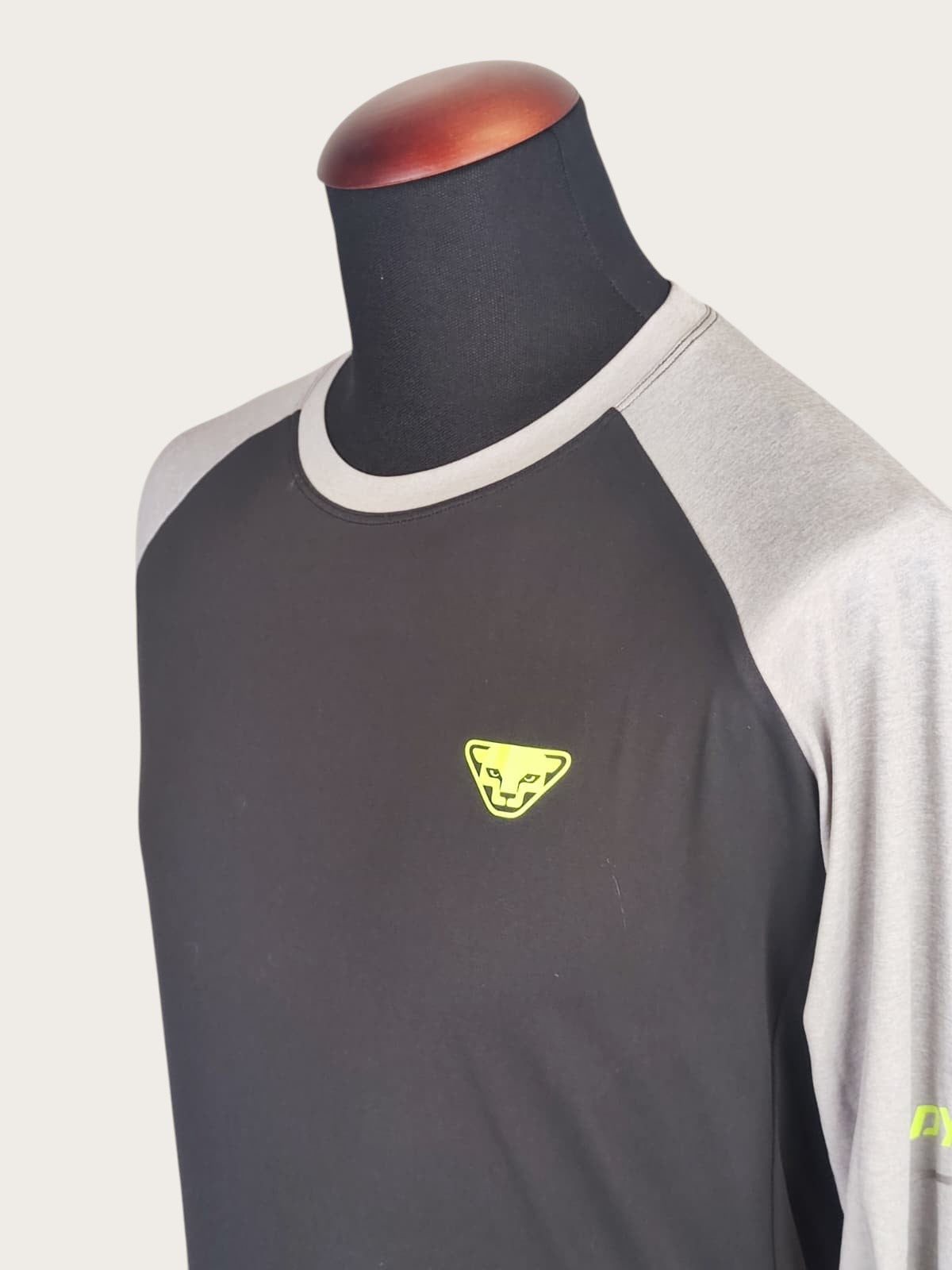 Dynafit Longsleeve (L)