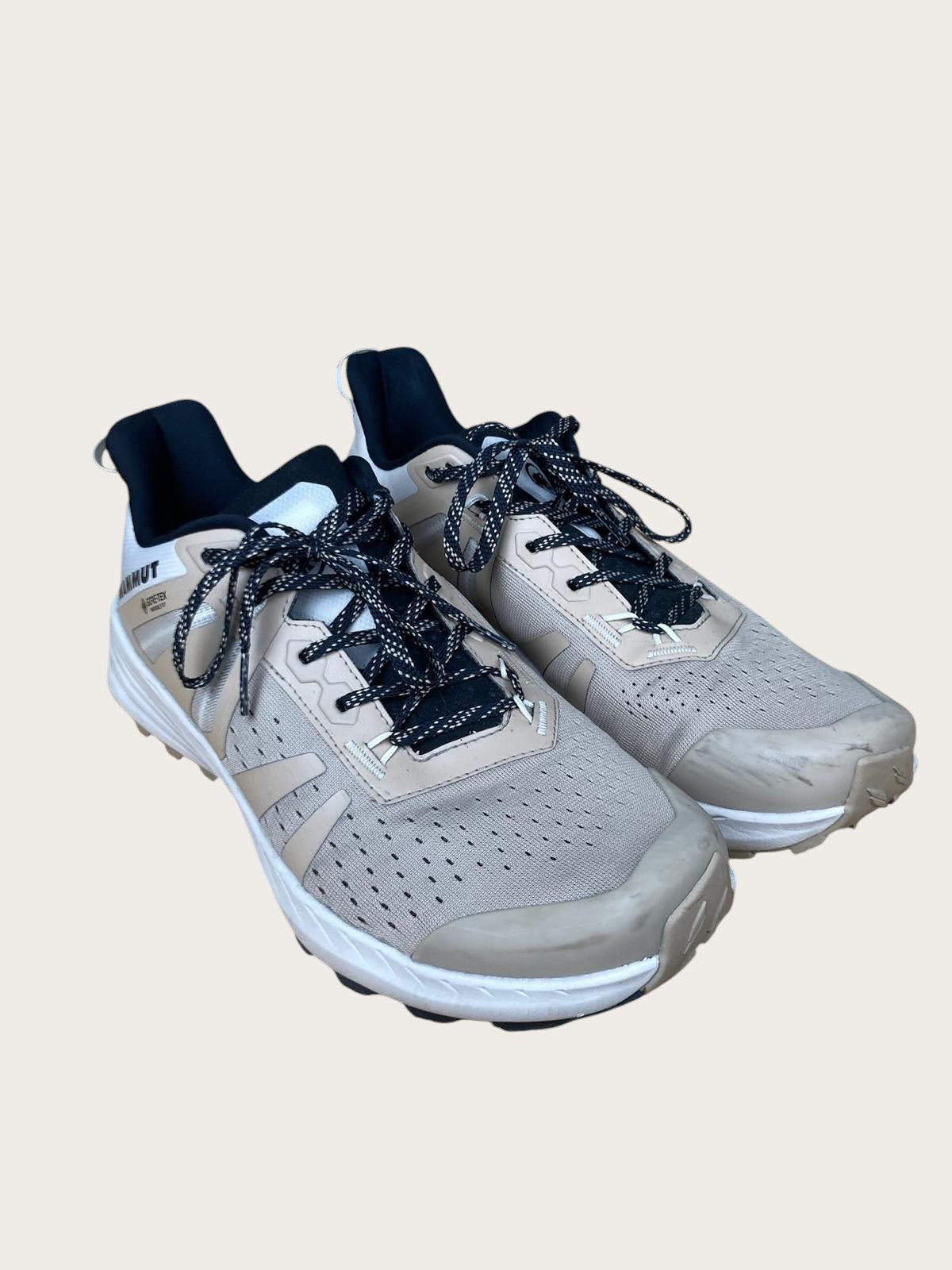 Mammut GTX Trailrunningschuhe (44.5)