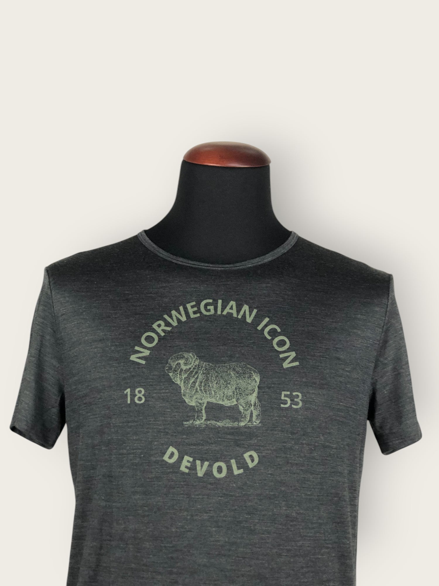 Devold Merino T-Shirt (M)