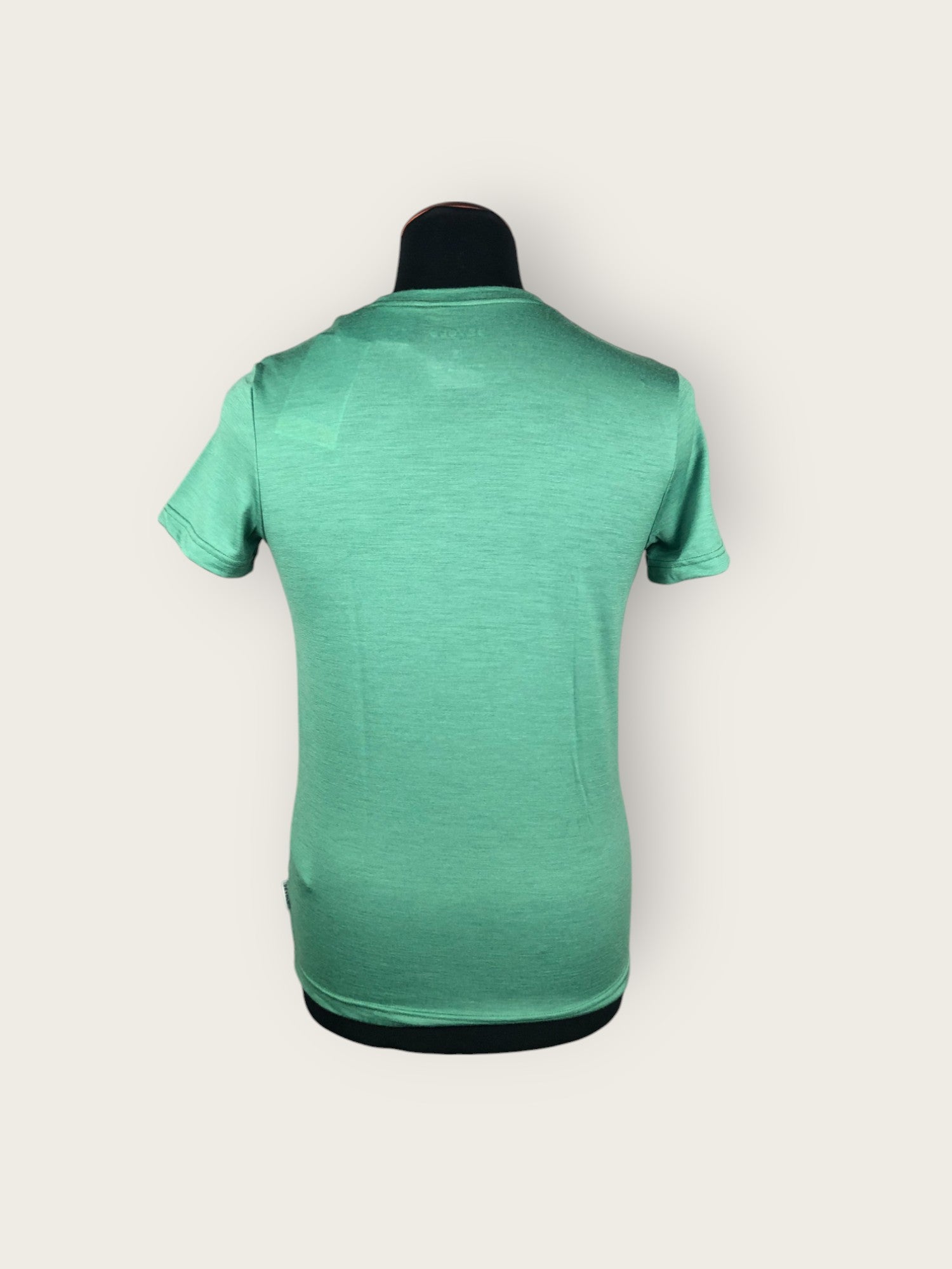 Devold Merino T-Shirt (S)