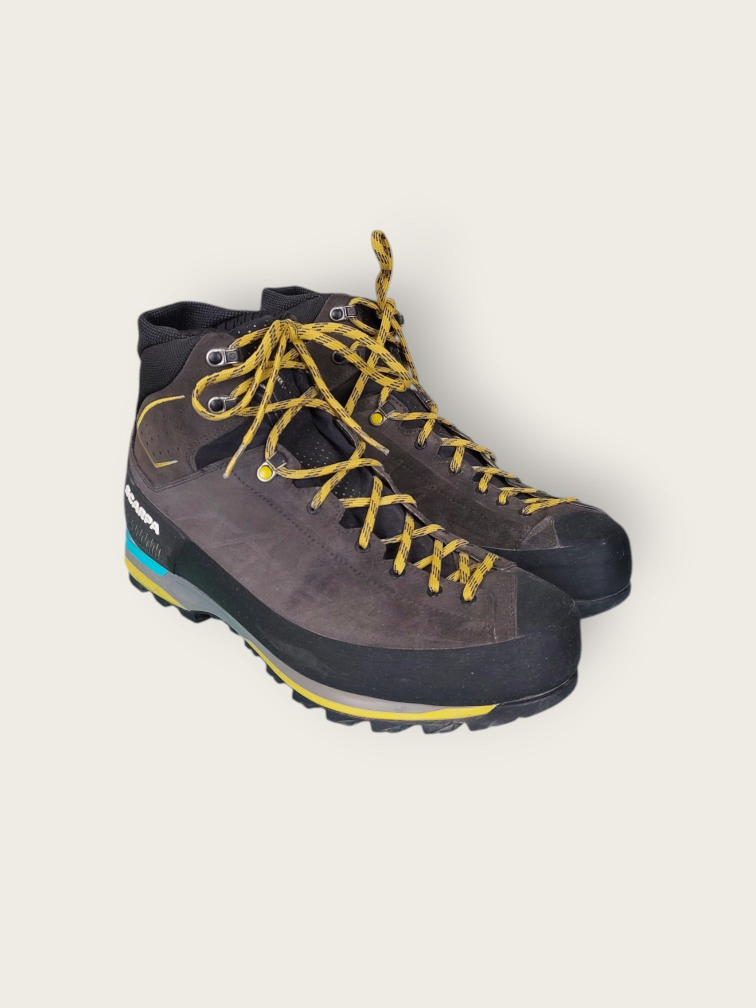 Scarpa GTX Wanderschuhe hoch (46)