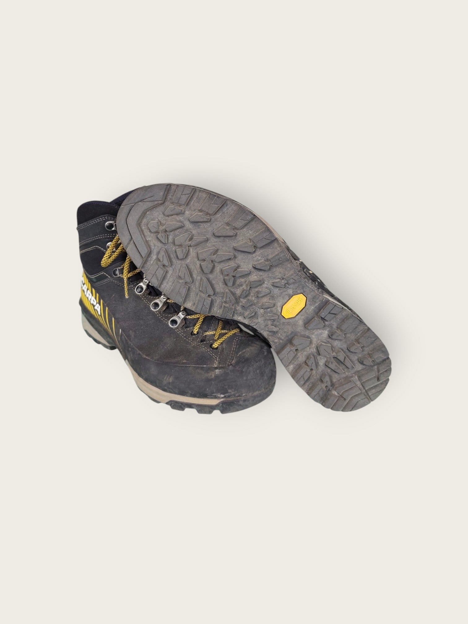 Scarpa GTX Wanderschuhe hoch (42)