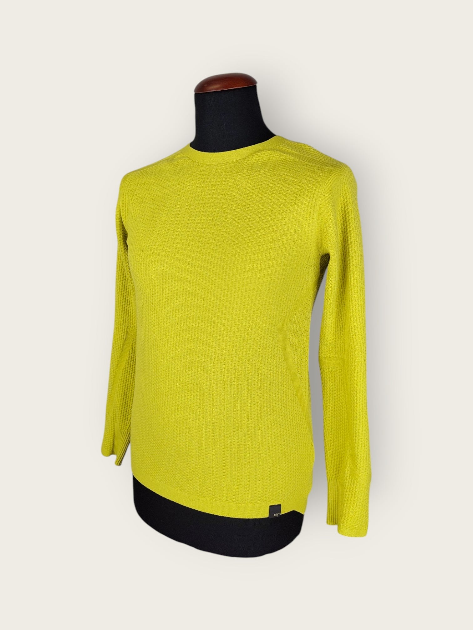 Arc'teryx Pullover (S)