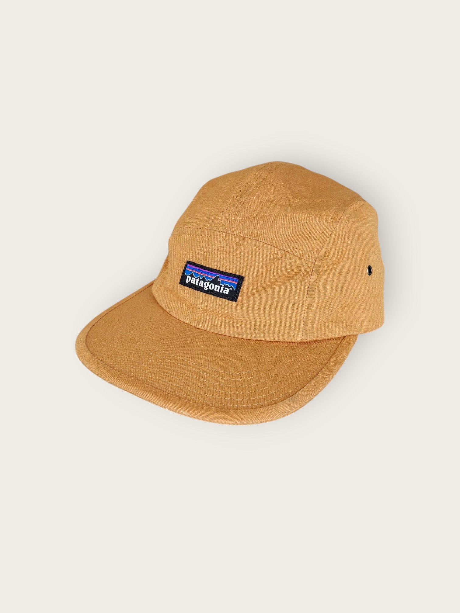 Patagonia Cap (One size)