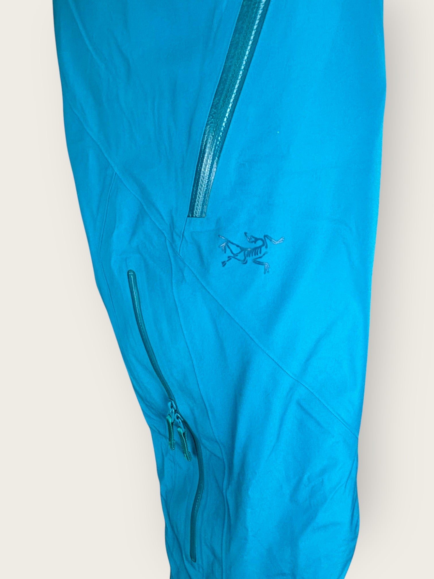 Arc'teryx Skihose (L)