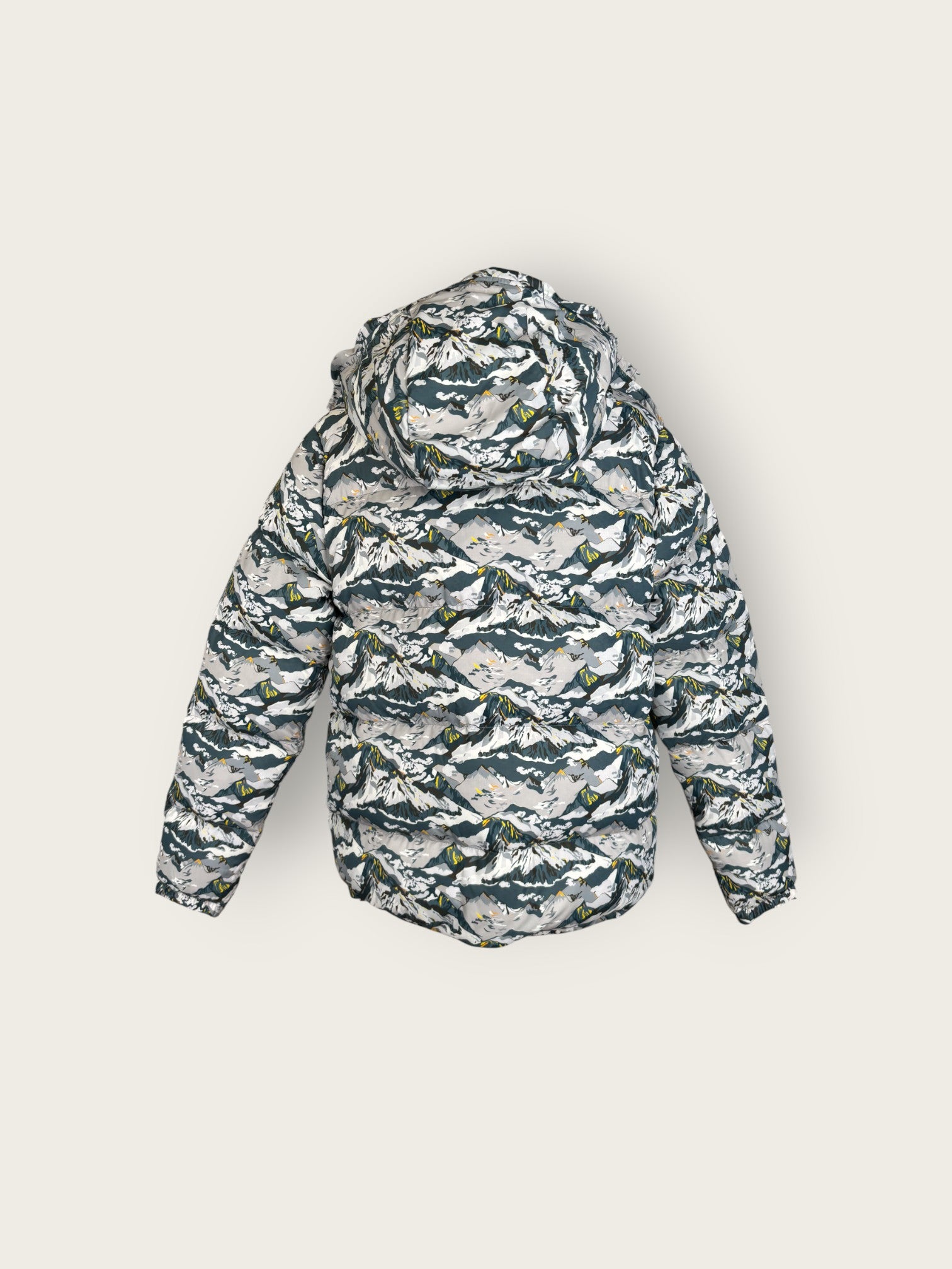 The North Face Daunenjacke (L)