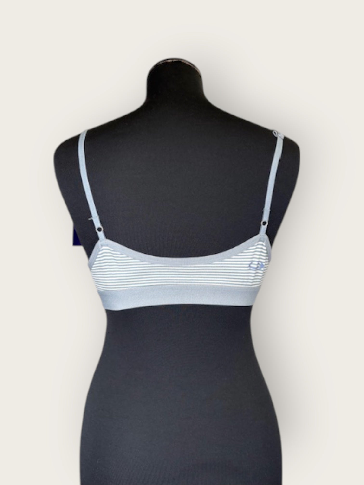 Icebreaker Top (L)
