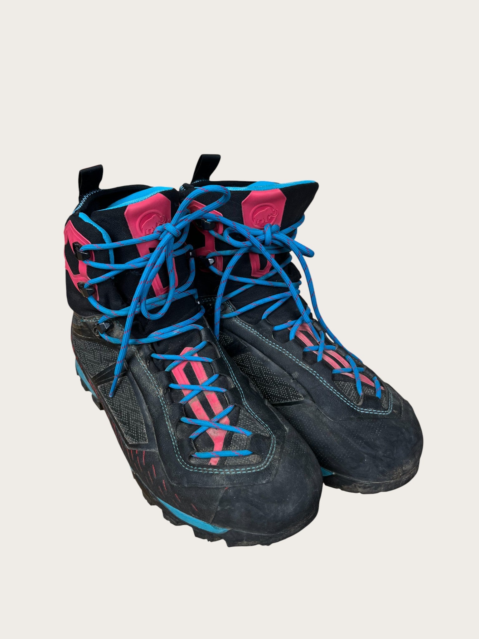 Mammut GTX Bergschuhe (41.5)
