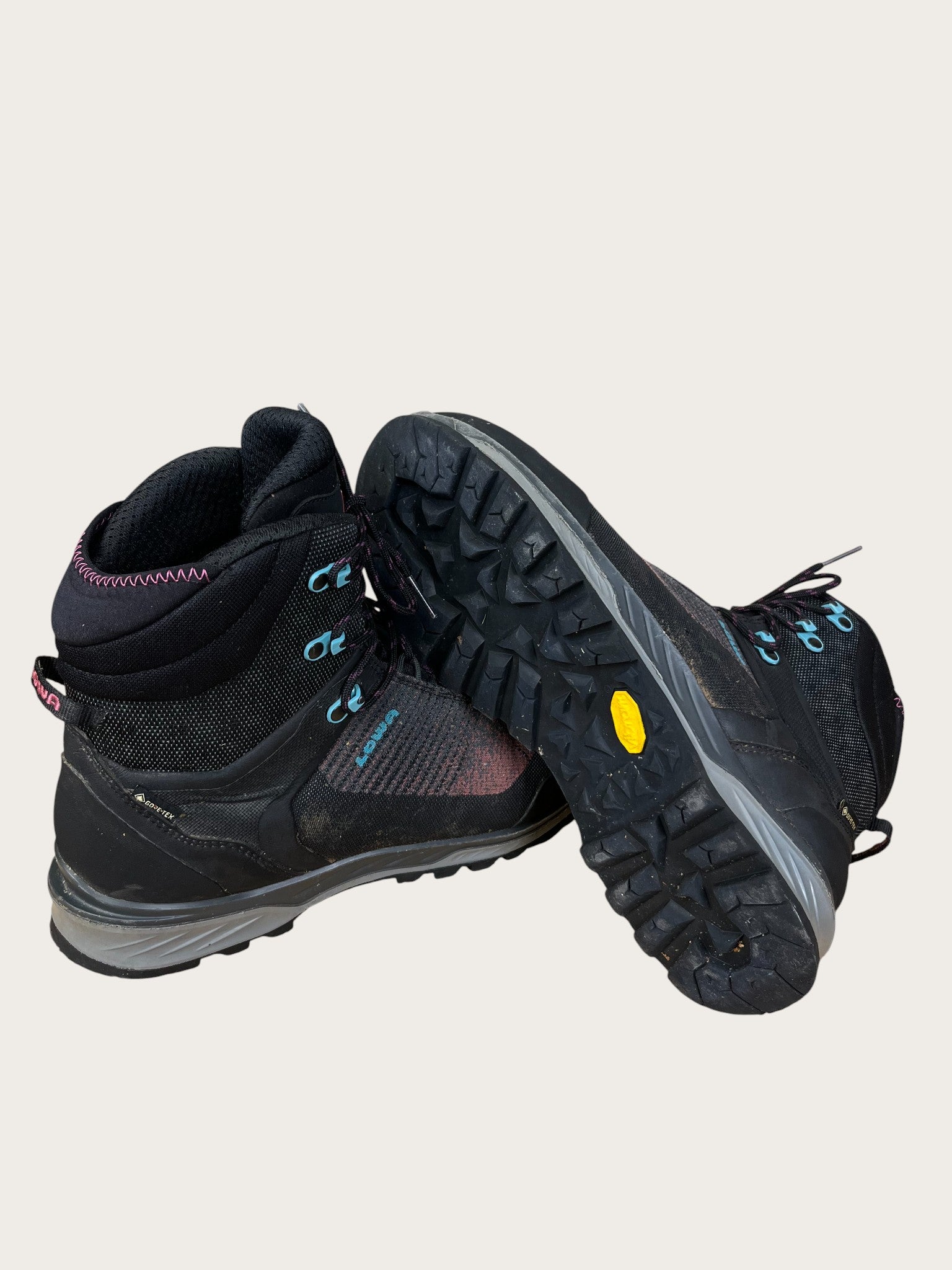 Lowa GTX Bergschuhe (42)