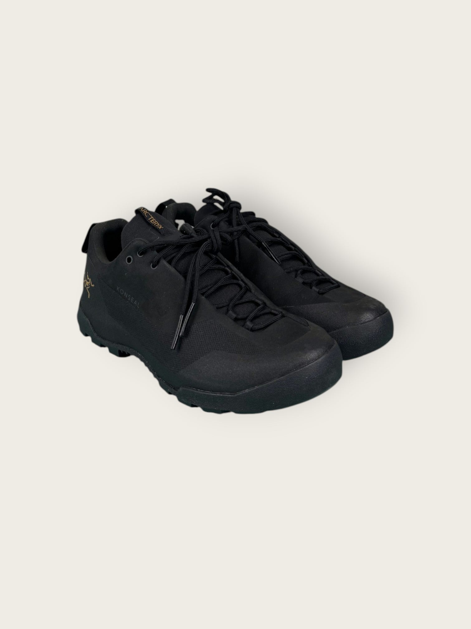 Arc'teryx GTX Zustiegsschuhe