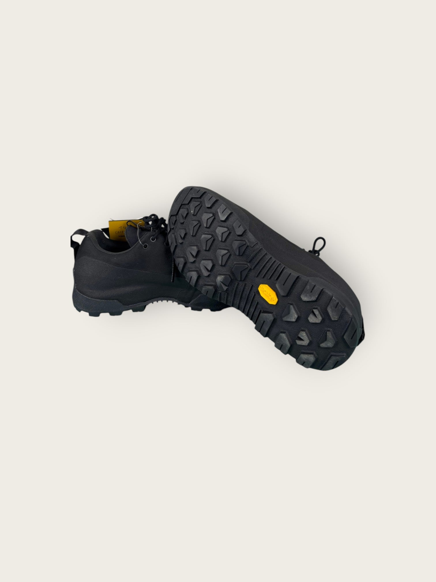 Arc'teryx GTX Zustiegsschuhe