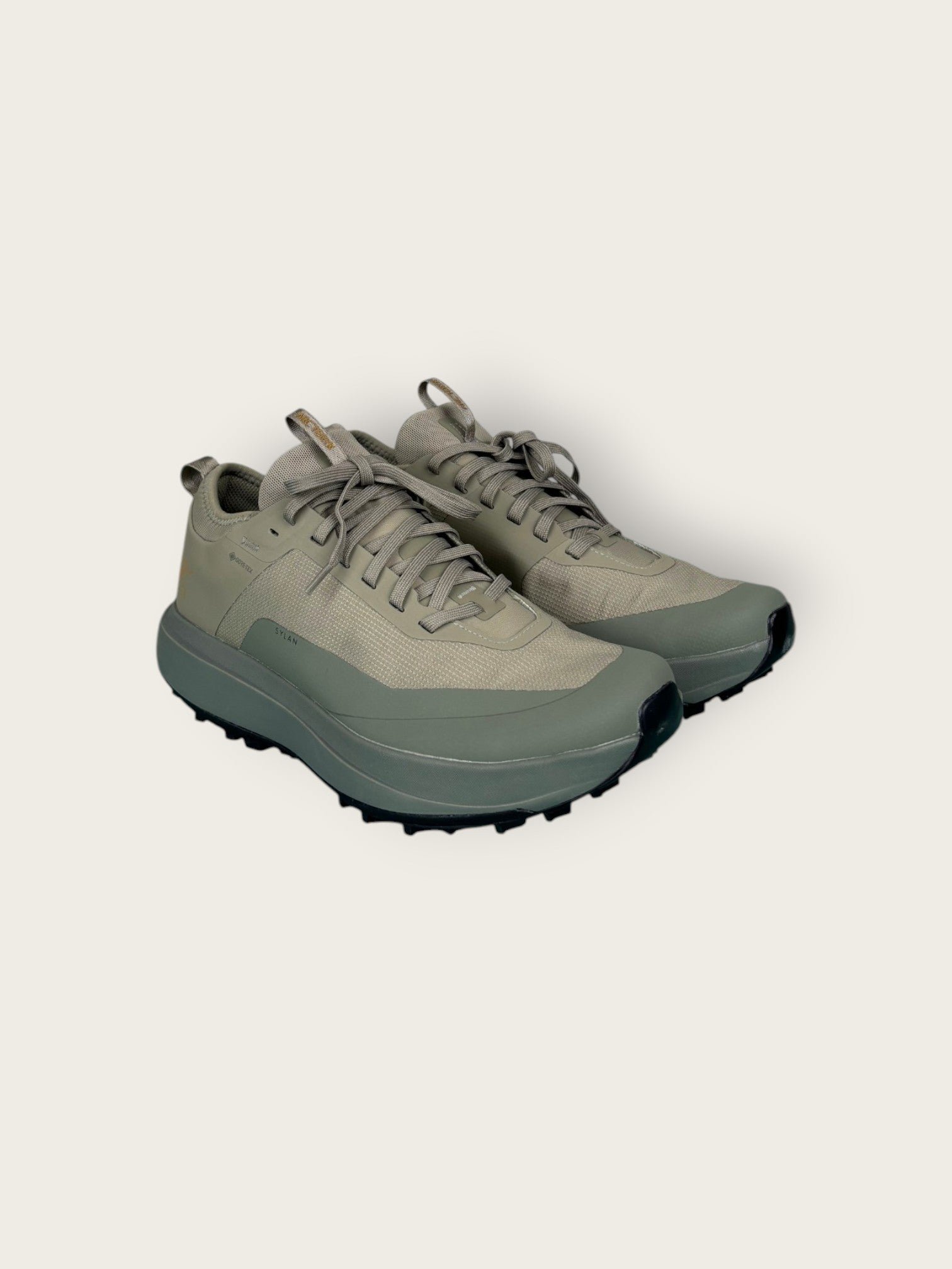 Arc'teryx GTX Trailrunningschuhe (40)