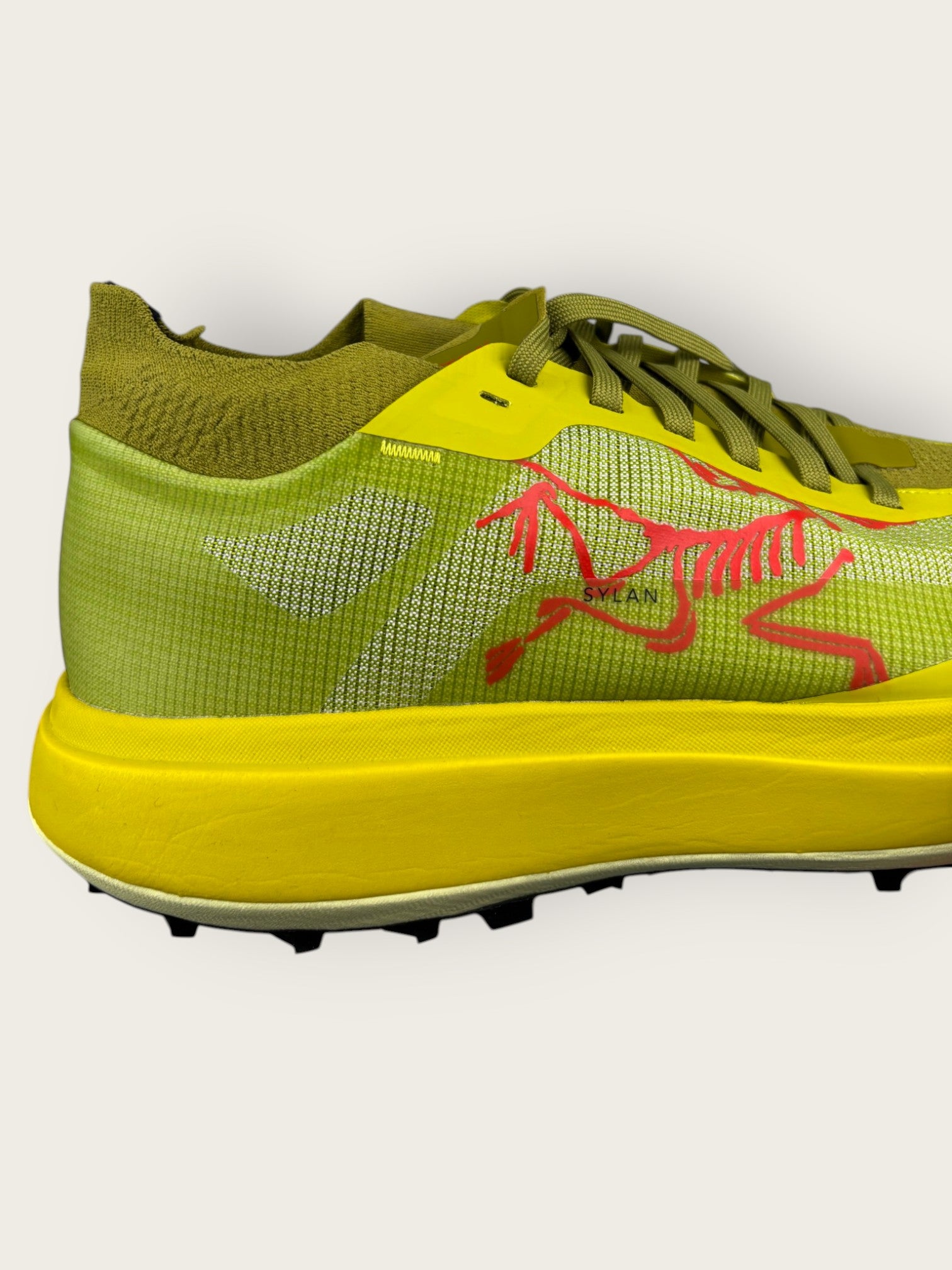 Arc'teryx Trailrunningschuhe (43)