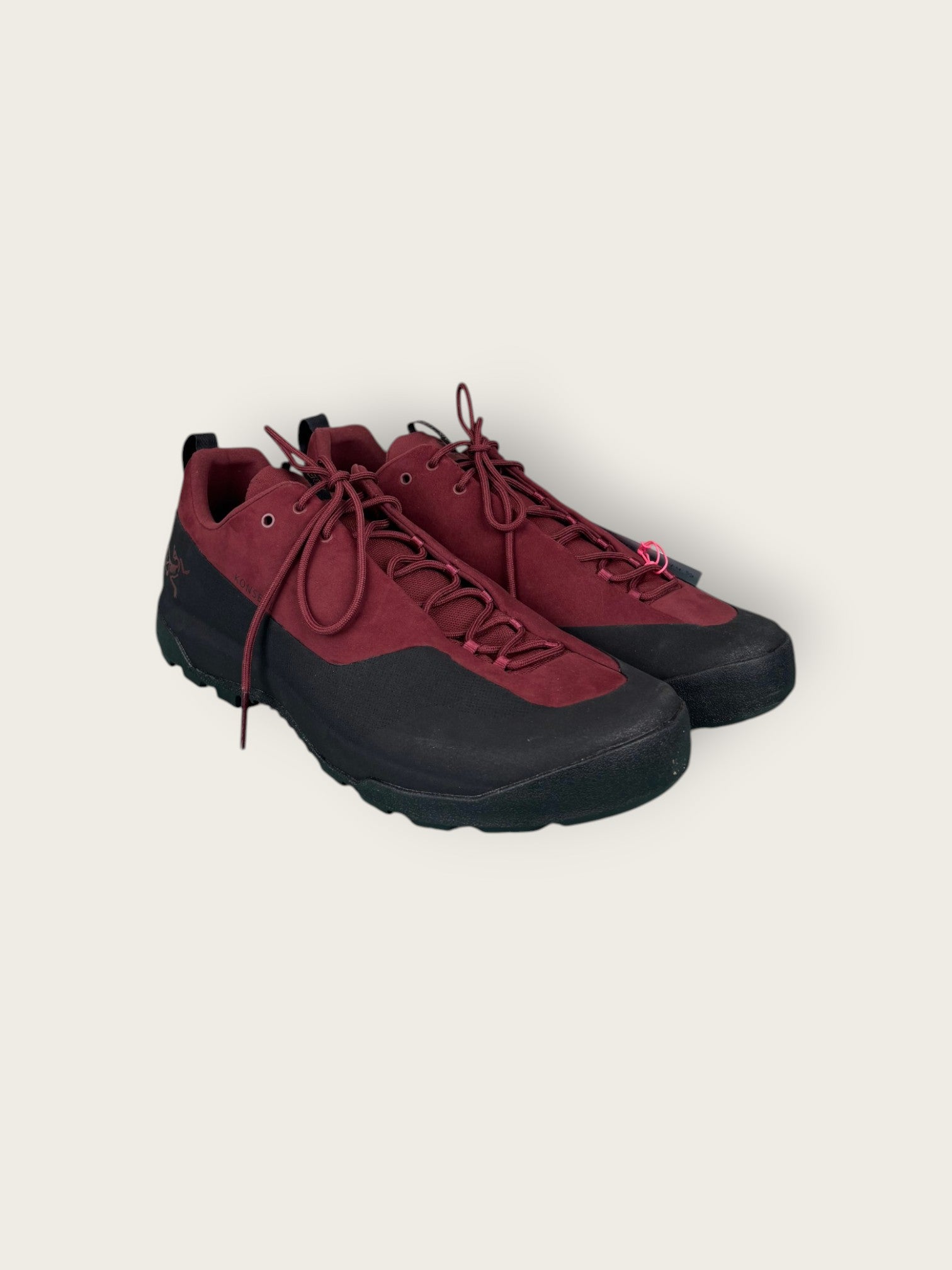 Arc'teryx GTX Zustiegsschuhe (44.5)