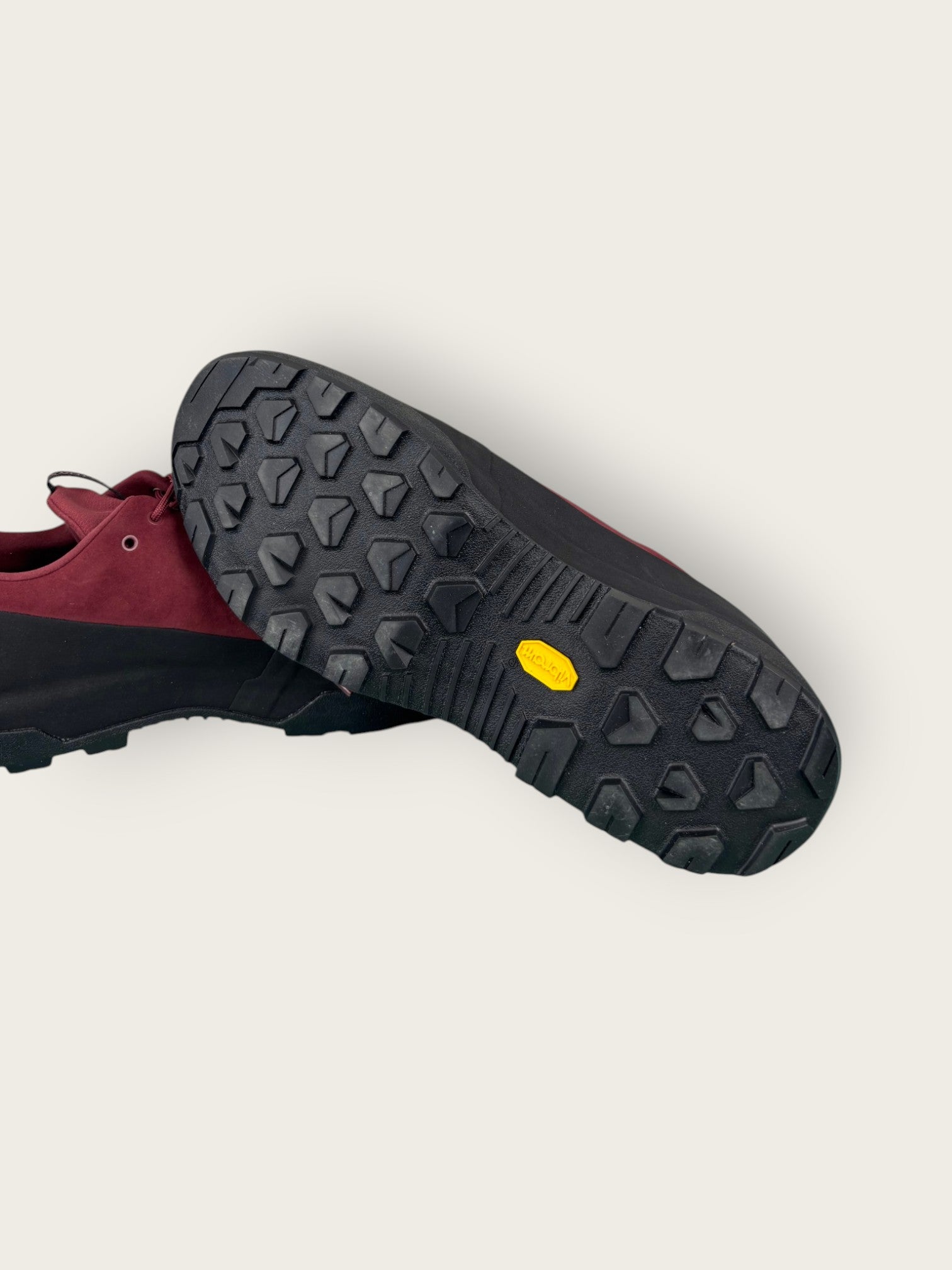 Arc'teryx GTX Zustiegsschuhe (44.5)