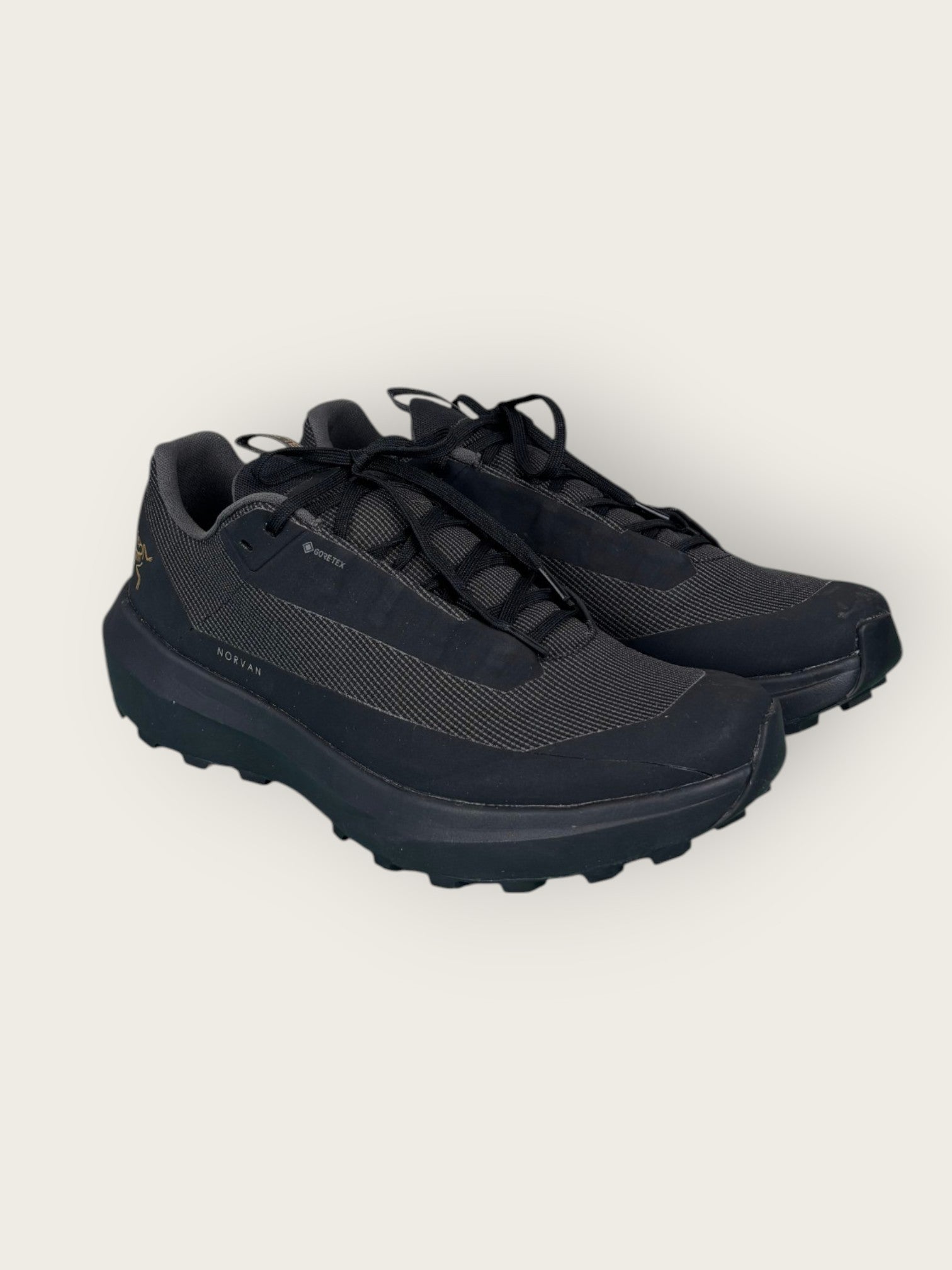 Arc'teryx GTX Trailrunningschuhe