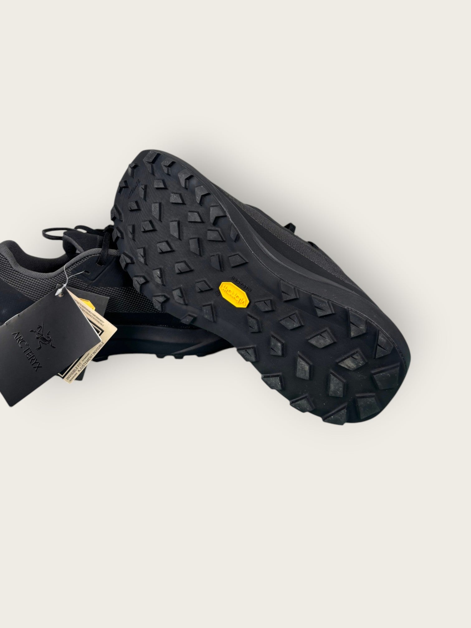 Arc'teryx GTX Trailrunningschuhe