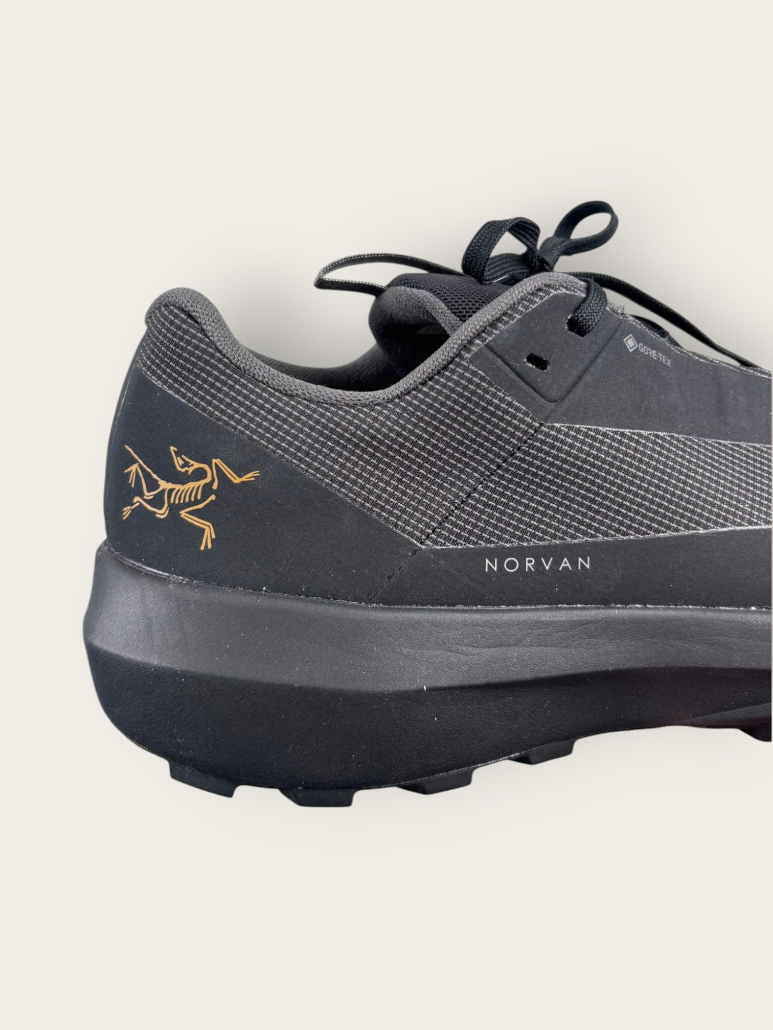 Arc'teryx GTX Trailrunningschuhe (37.5)