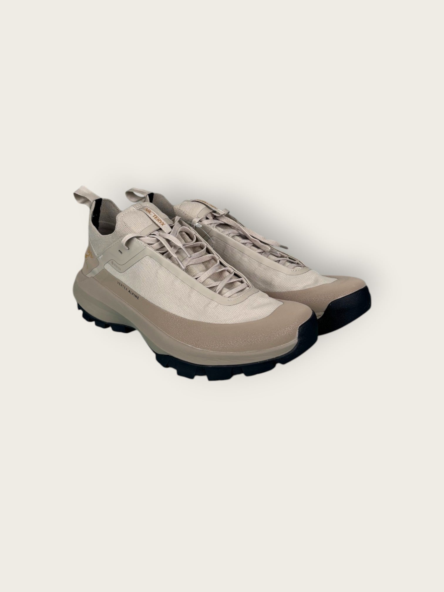 Arc'teryx GTX Trailrunningschuhe (44.5)