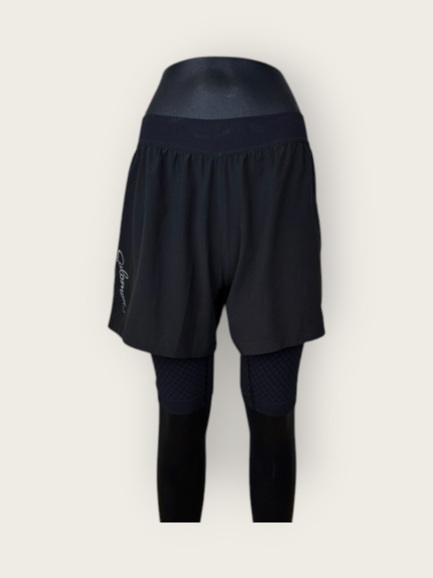 Salomon Running Shorts (M)