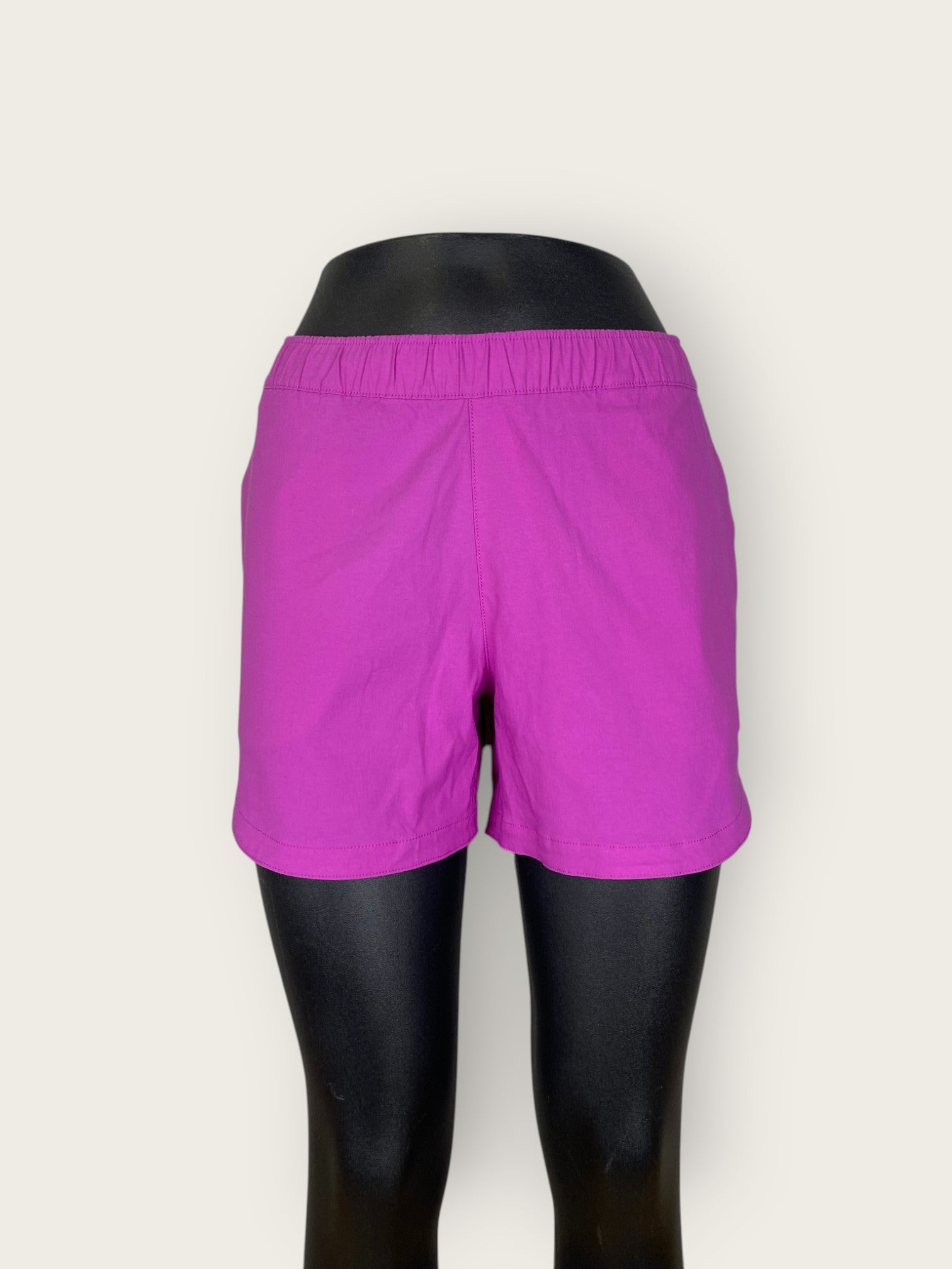 The North Face Shorts (XS)