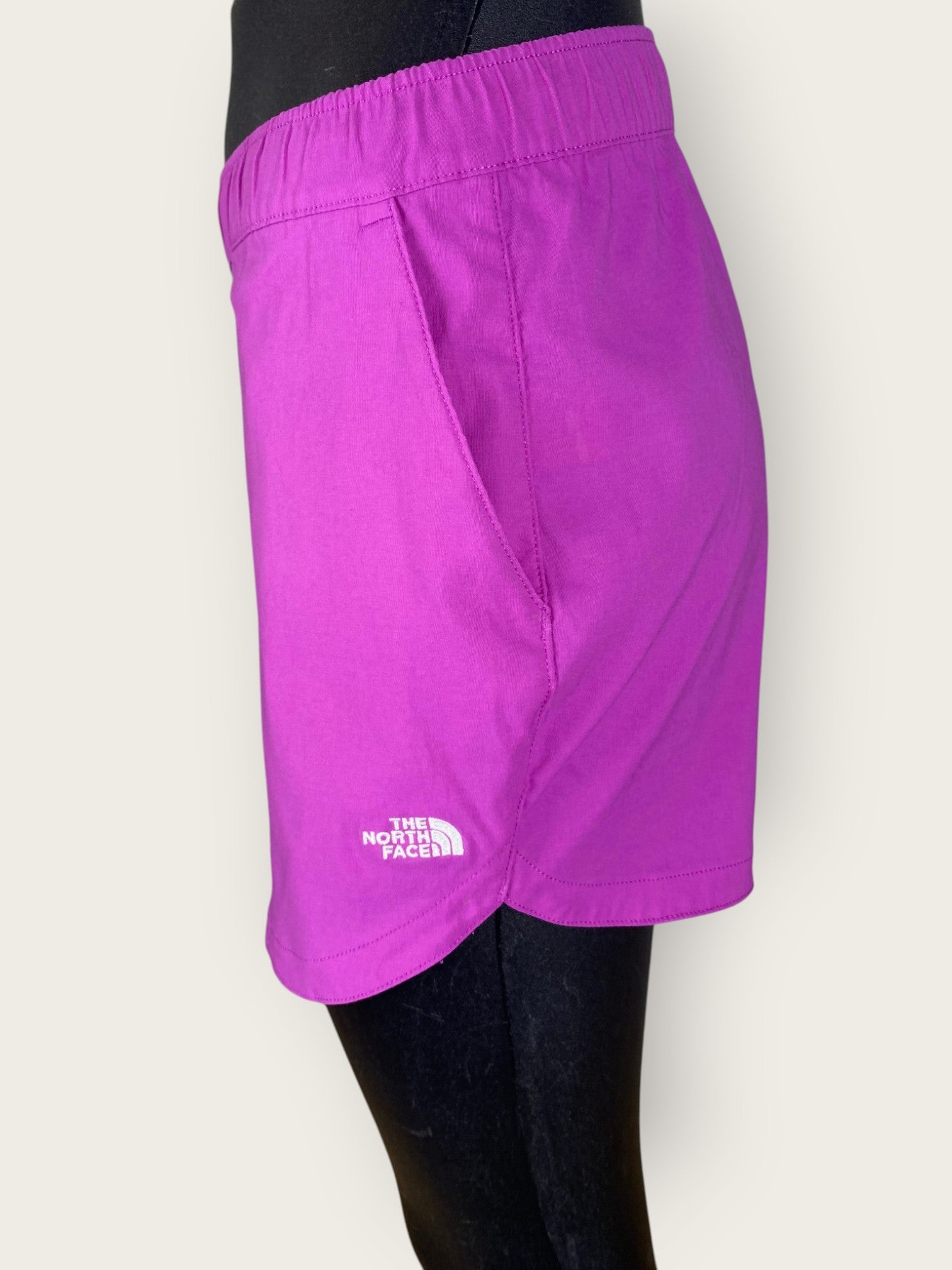 The North Face Shorts (XS)