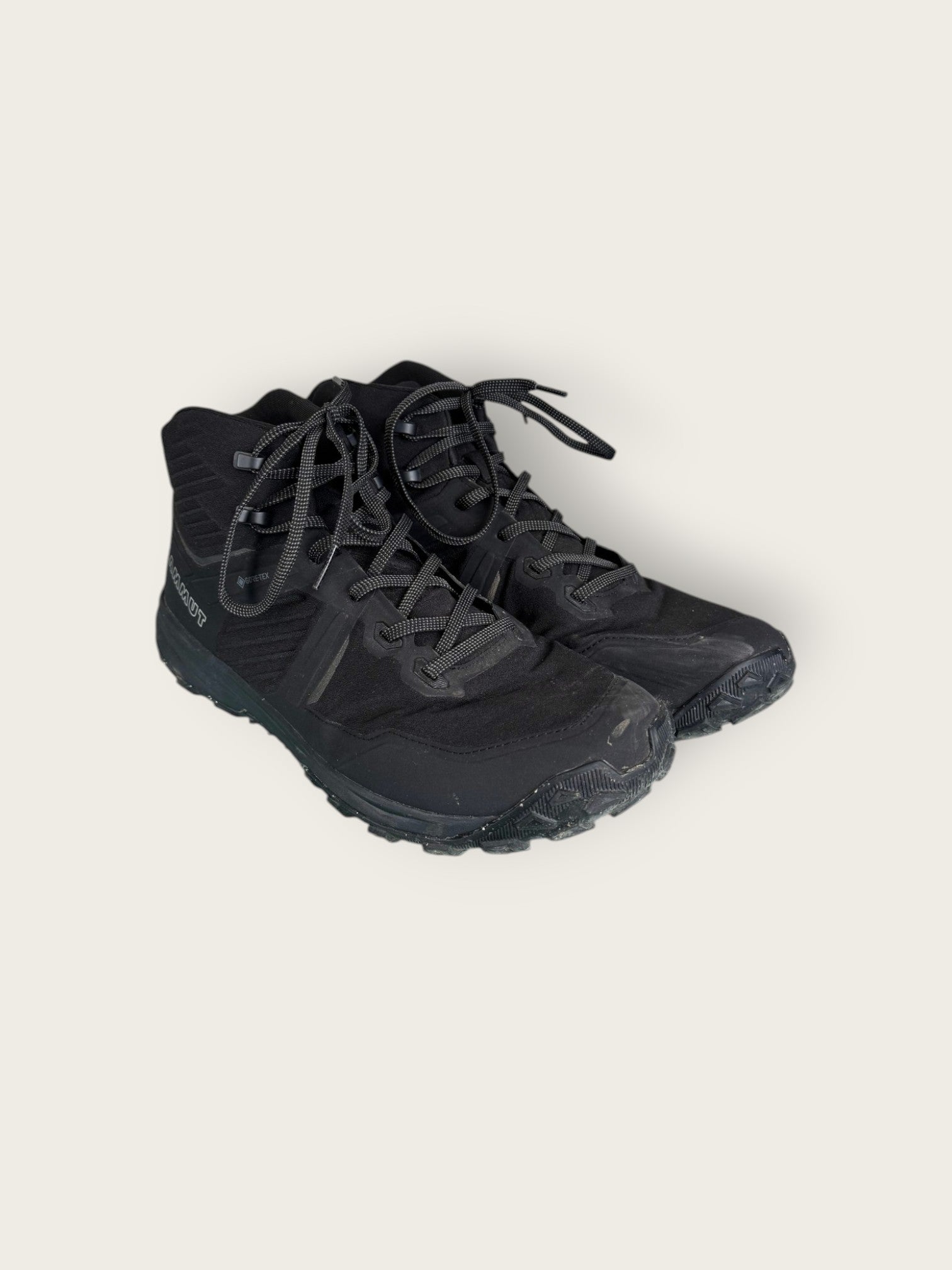 Mammut GTX Wanderschuhe mittel (44)