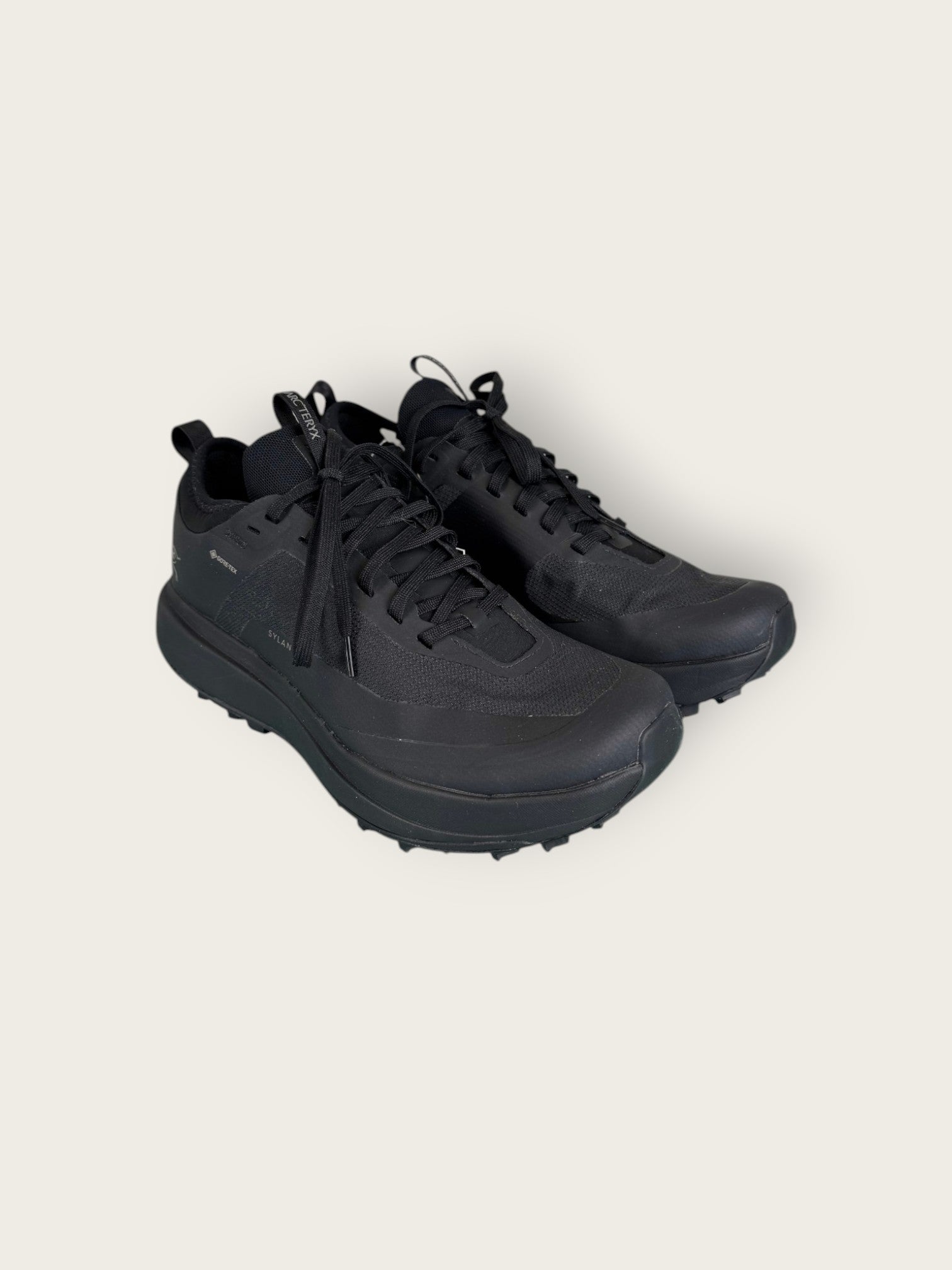 Arc'teryx GTX Trailrunningschuhe (38.5)