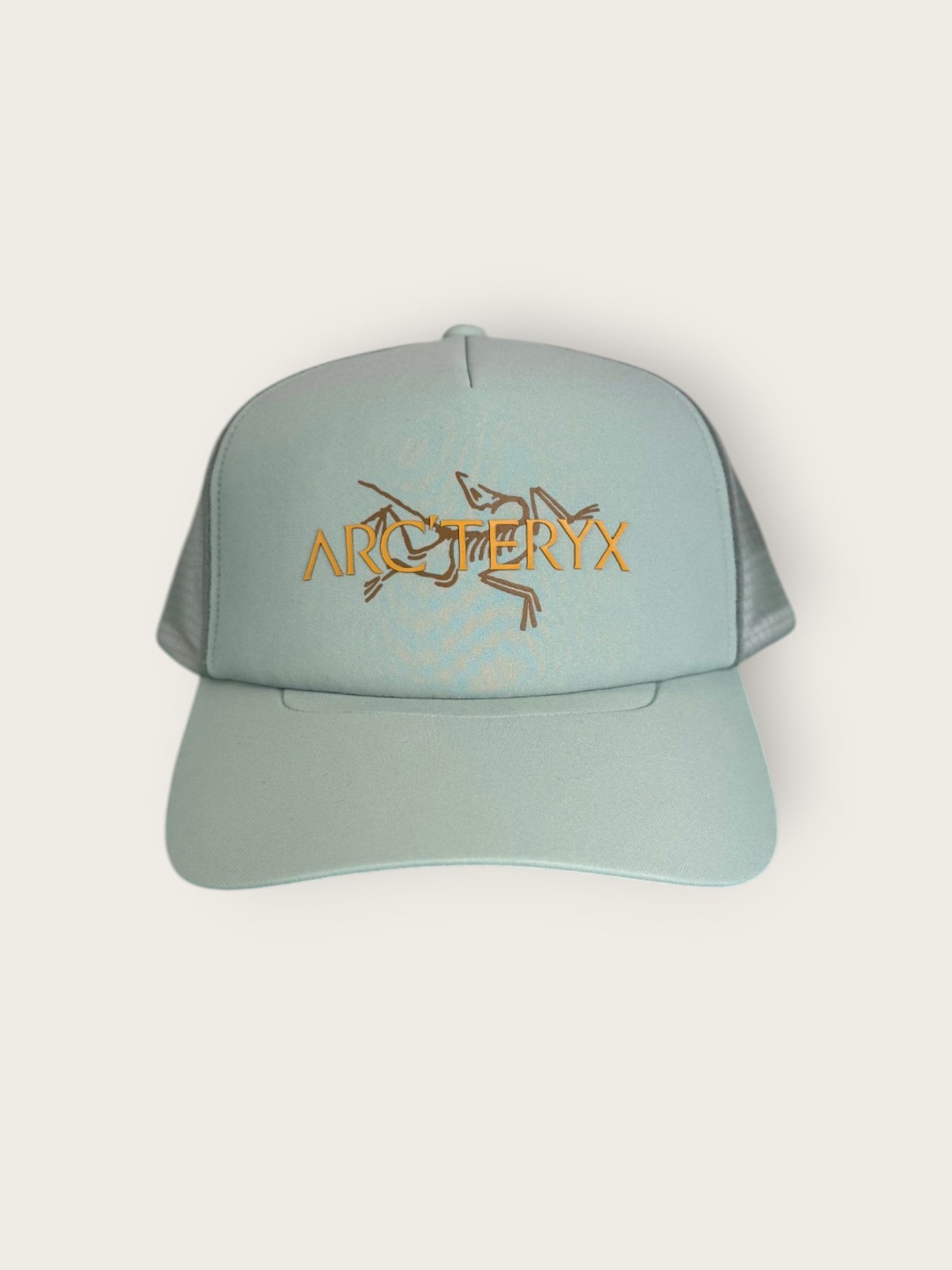 Arc'teryx Cap (S)