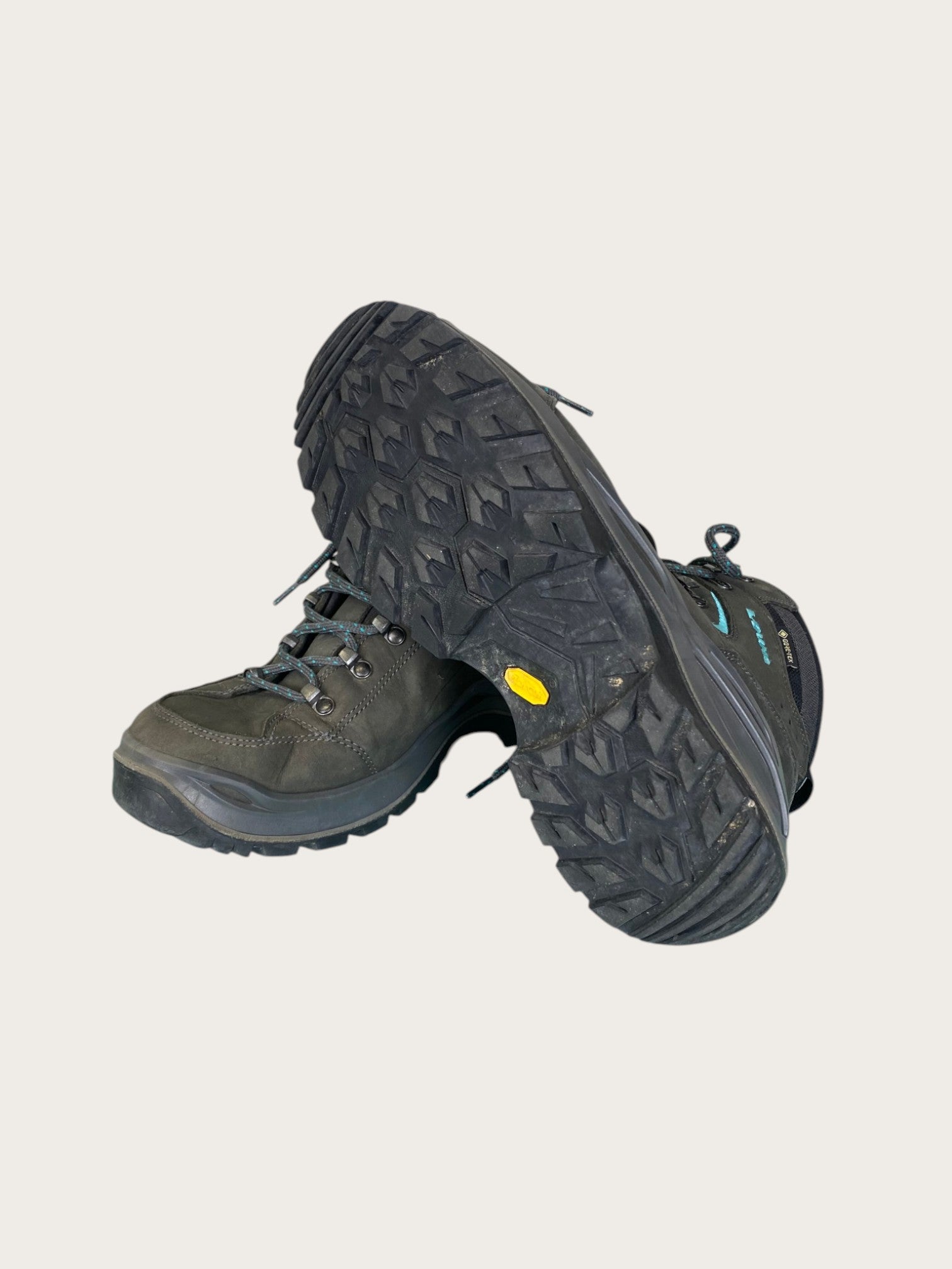 Lowa Renegade Evo GTX Wanderschuhe hoch (41.5)