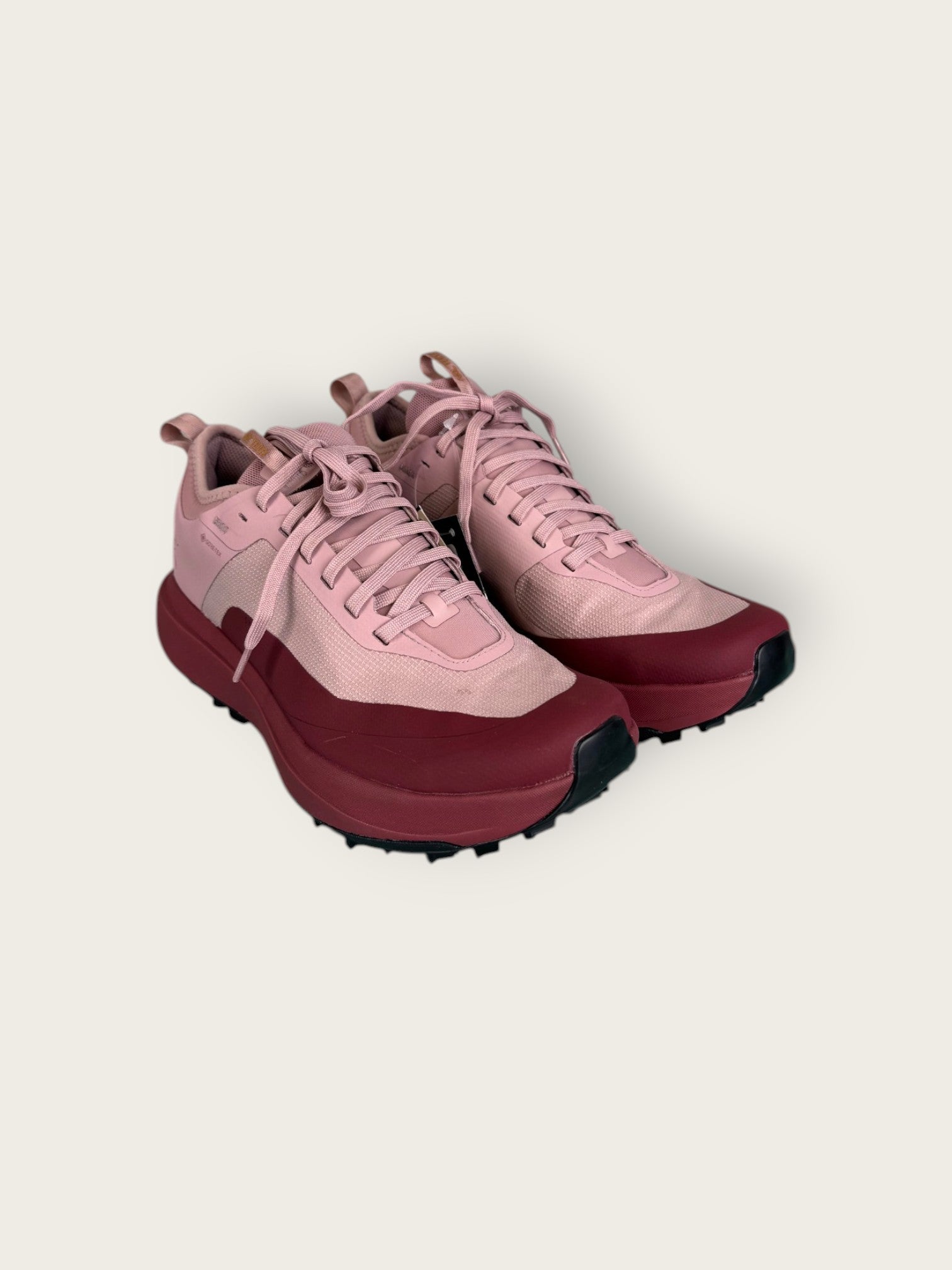 Arc'teryx GTX Trailrunningschuhe (40)