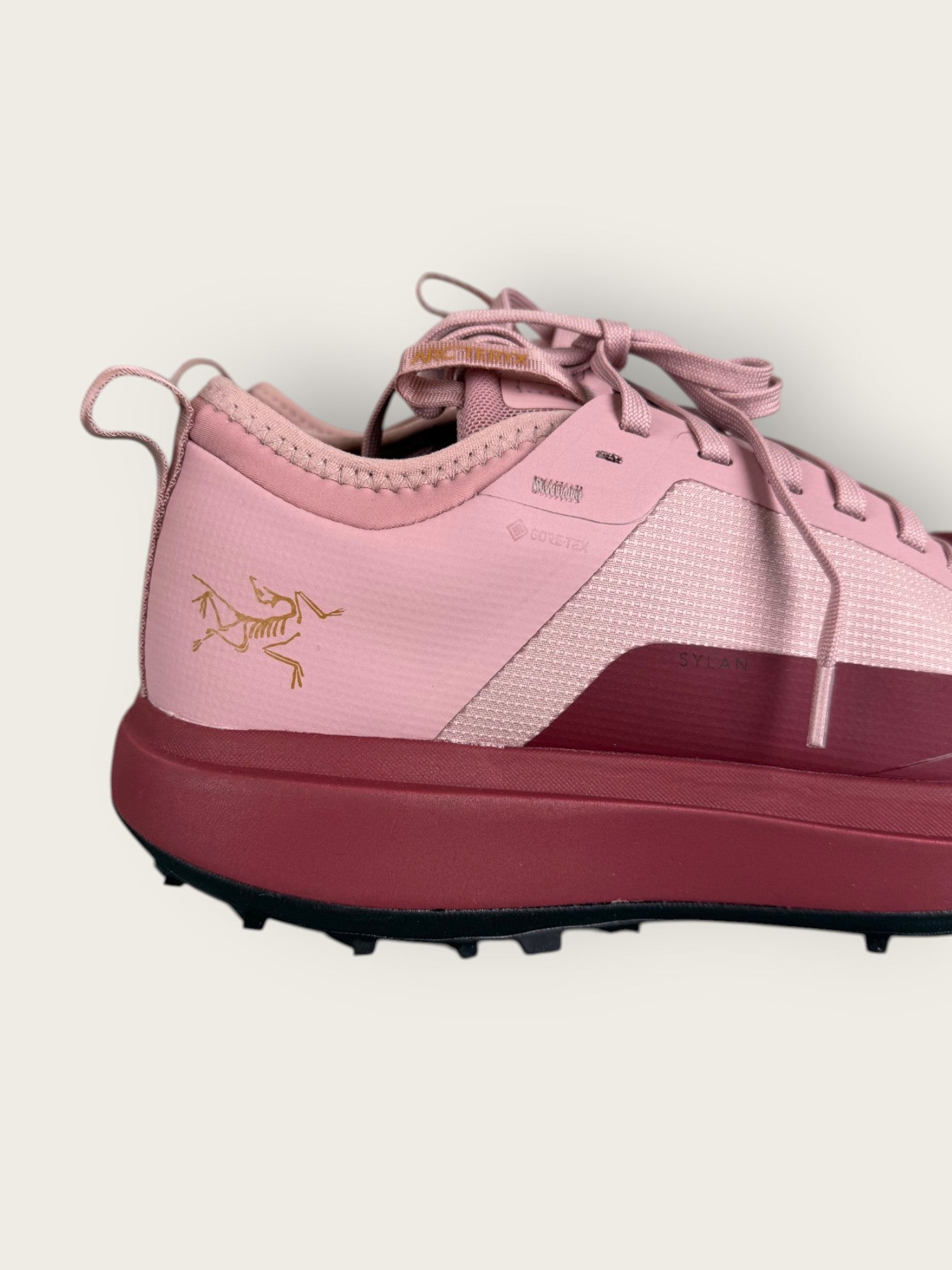 Arc'teryx GTX Trailrunningschuhe (40)