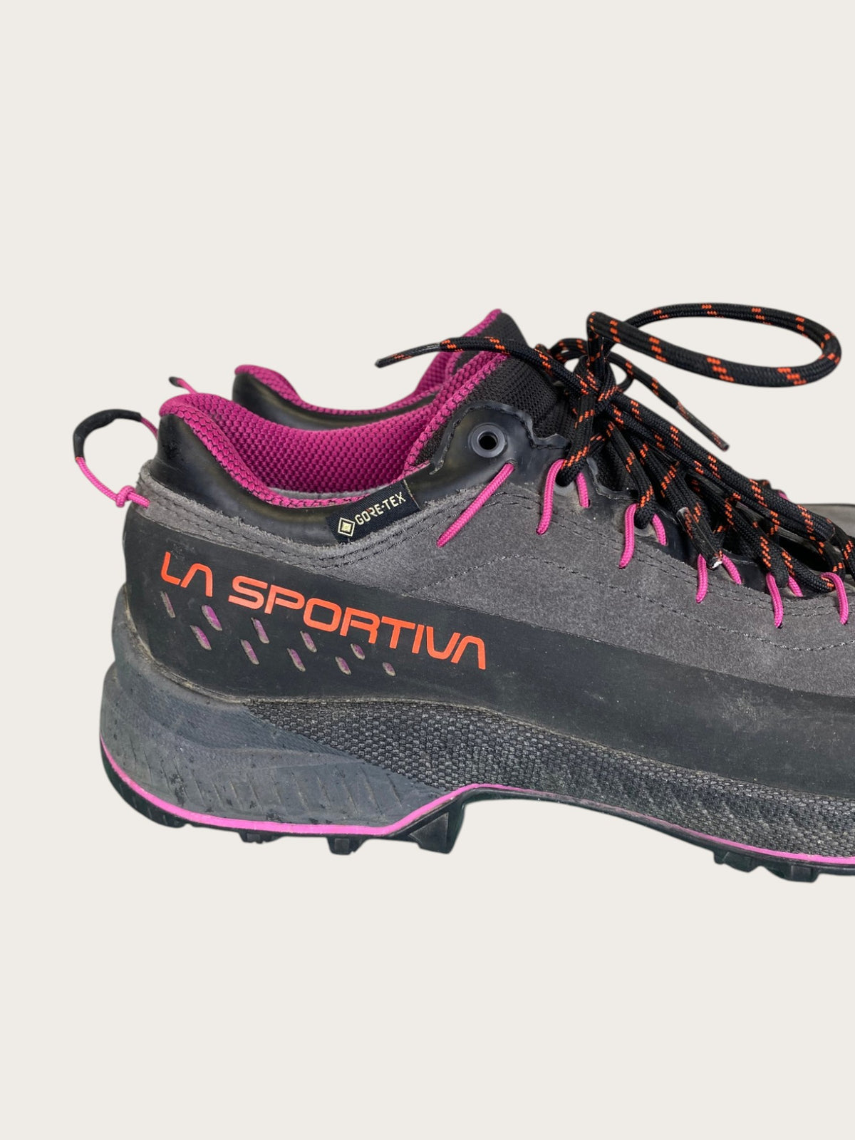 La Sportiva TX 4 GTX Zustiegsschuhe (39)