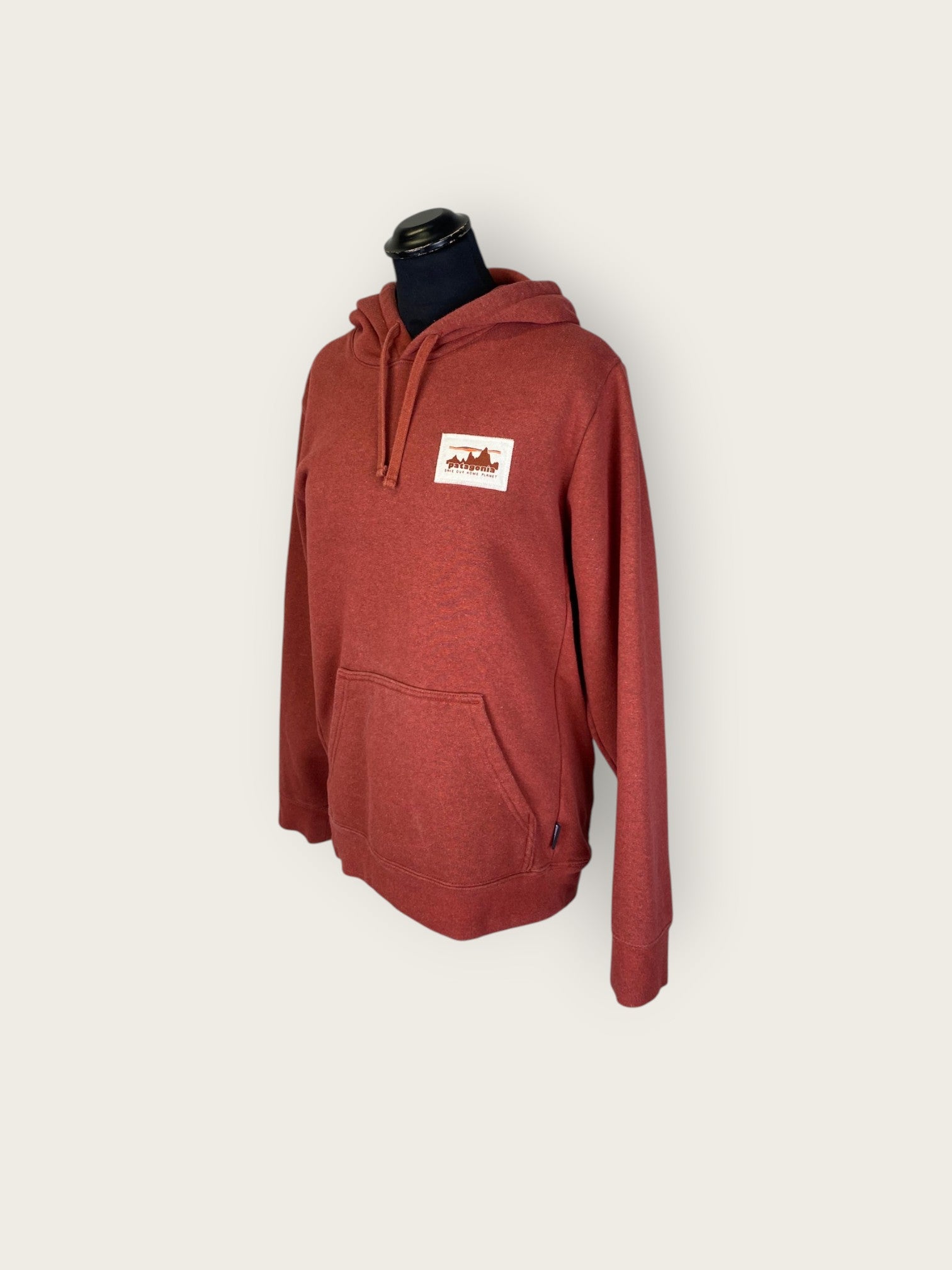 Patagonia Hoodie (M)
