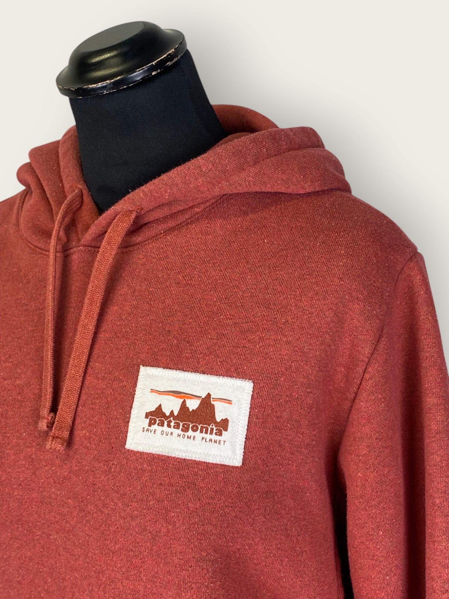 Patagonia Hoodie (M)